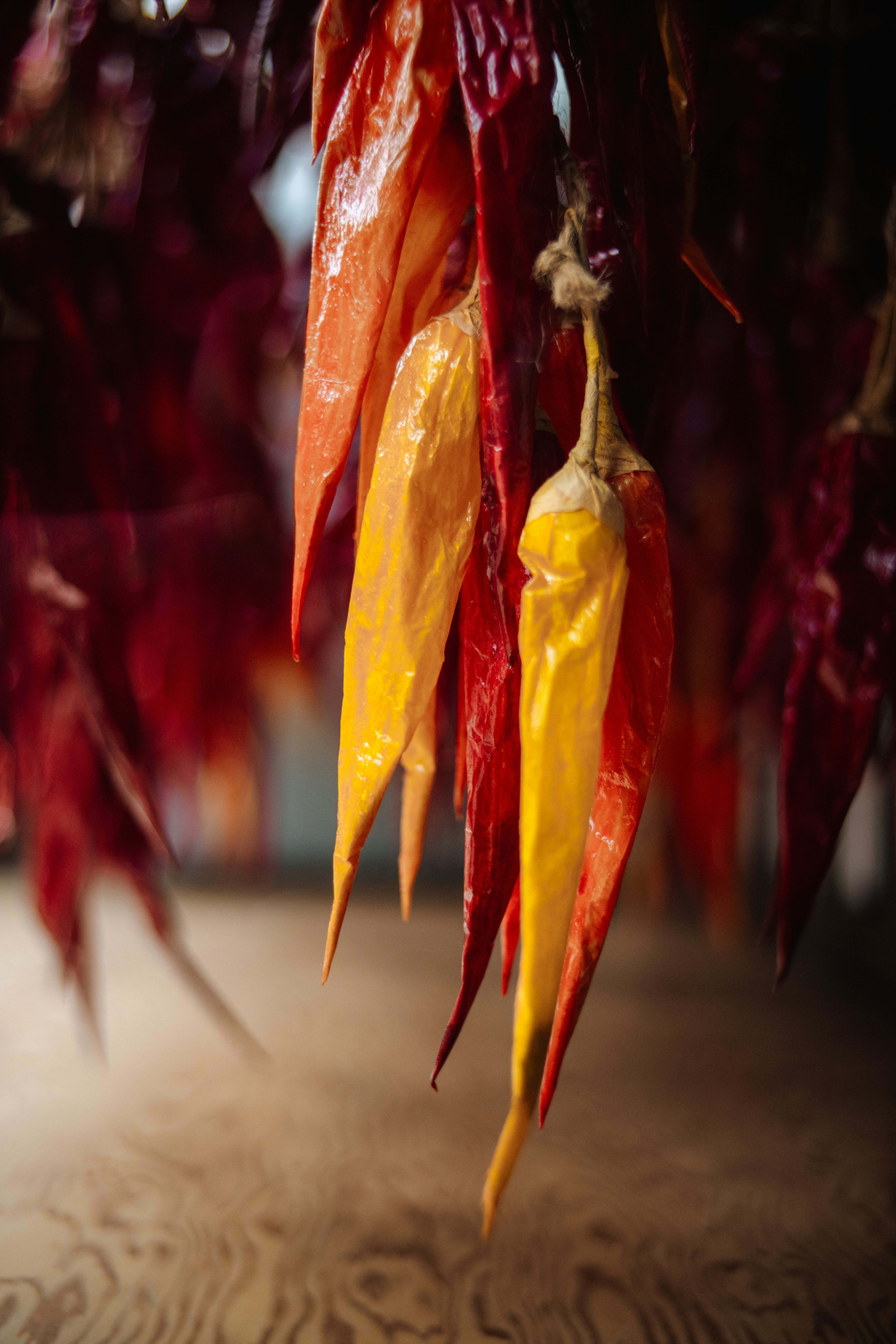 Getrocknete rote und gelbe Chilischoten hängen drinnen