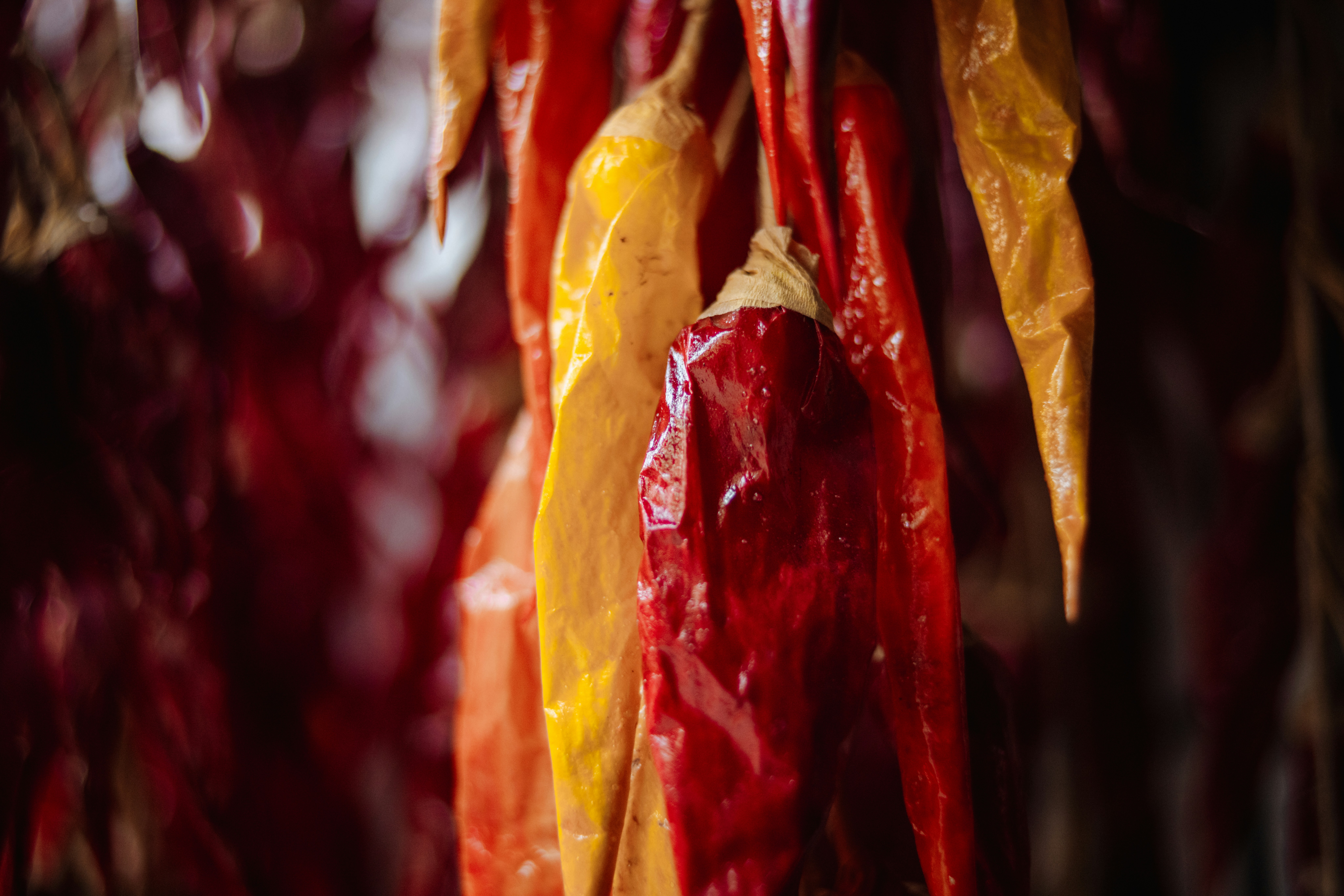 Getrocknete rote und gelbe Chilischoten hängen