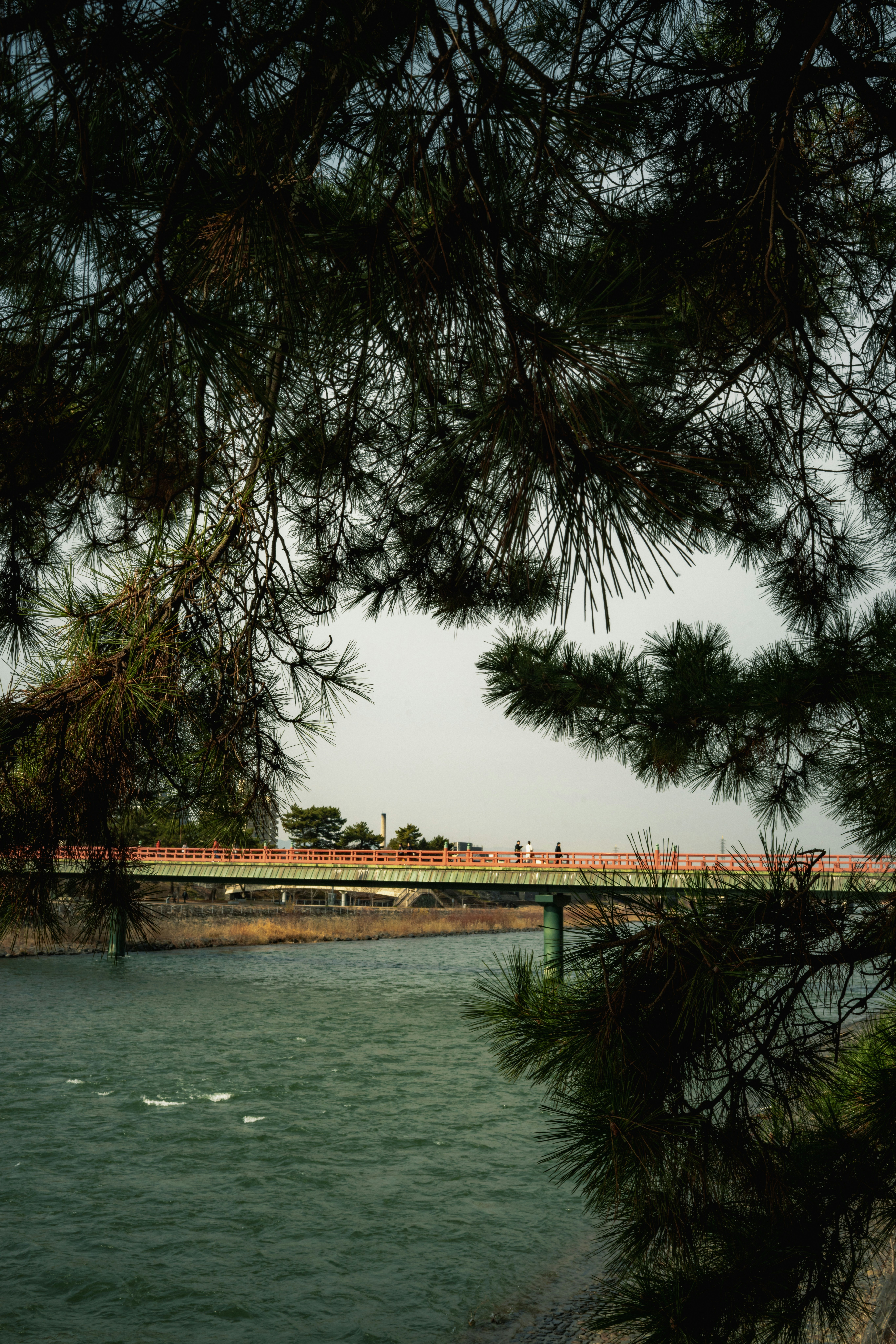 Bridge over a river with trees in foreground