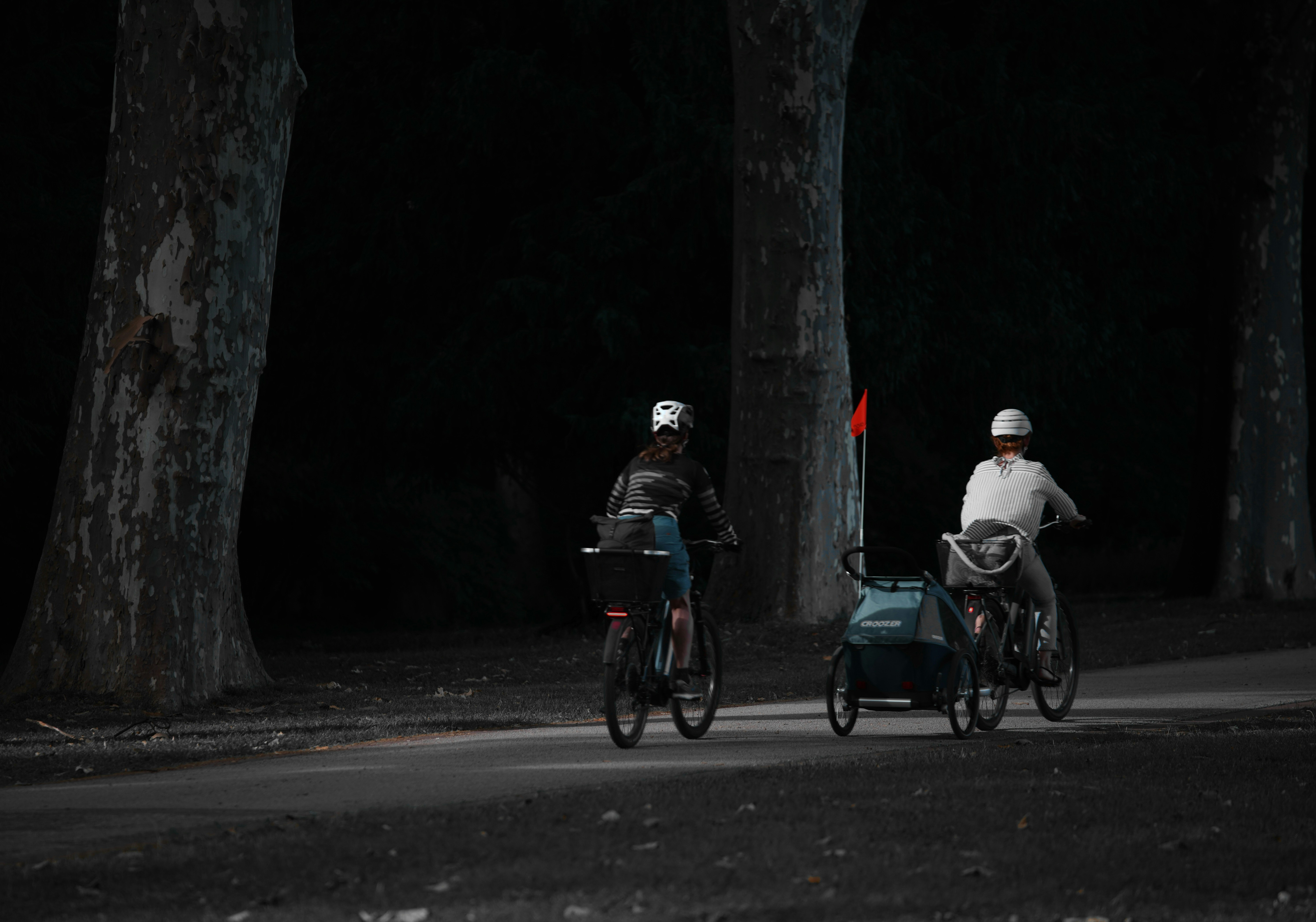 Two cyclists with trailers ride on a dark path.
