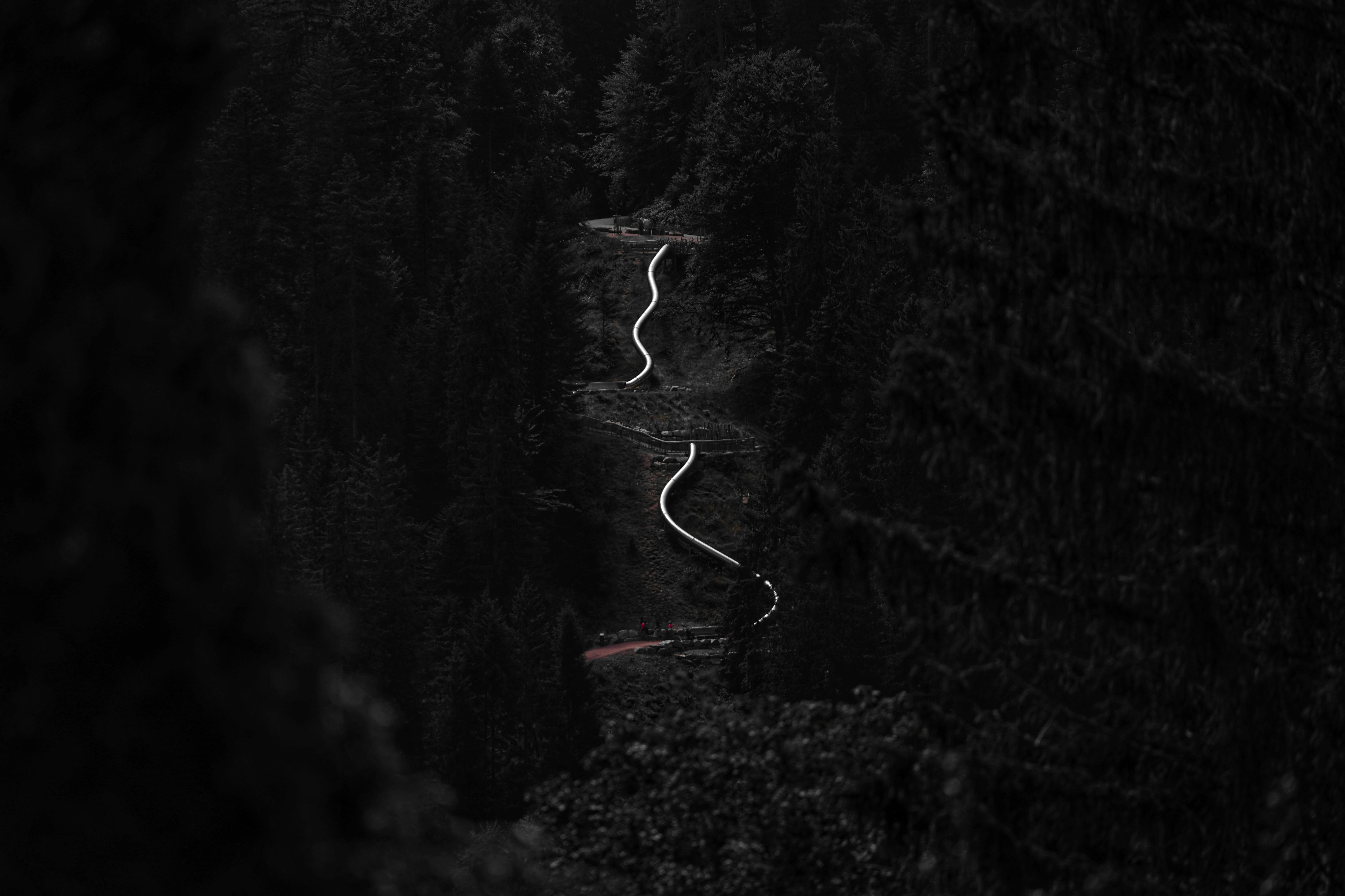 A winding path through a dark, forested hillside.