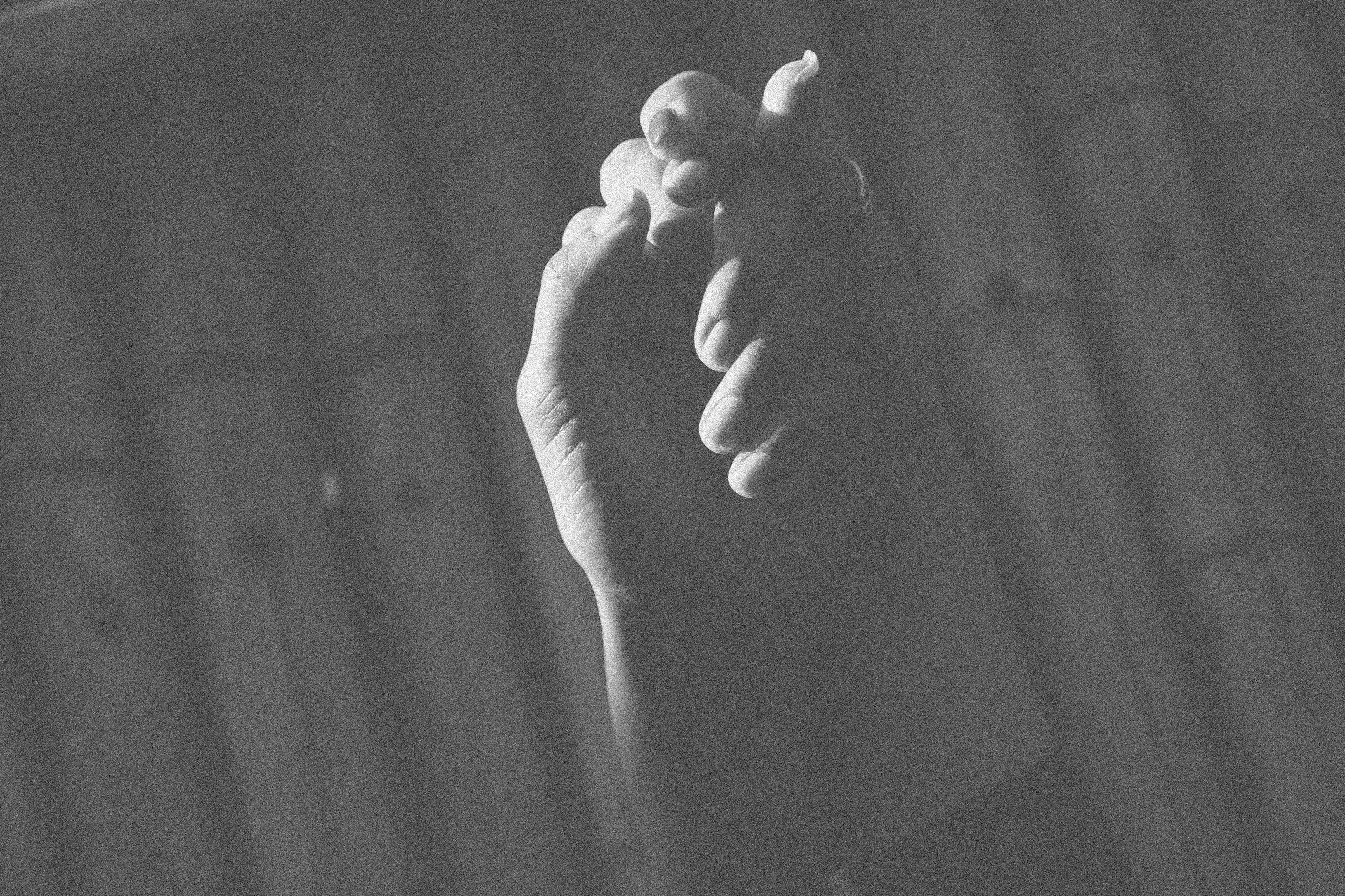 Photo by hoianphotographer