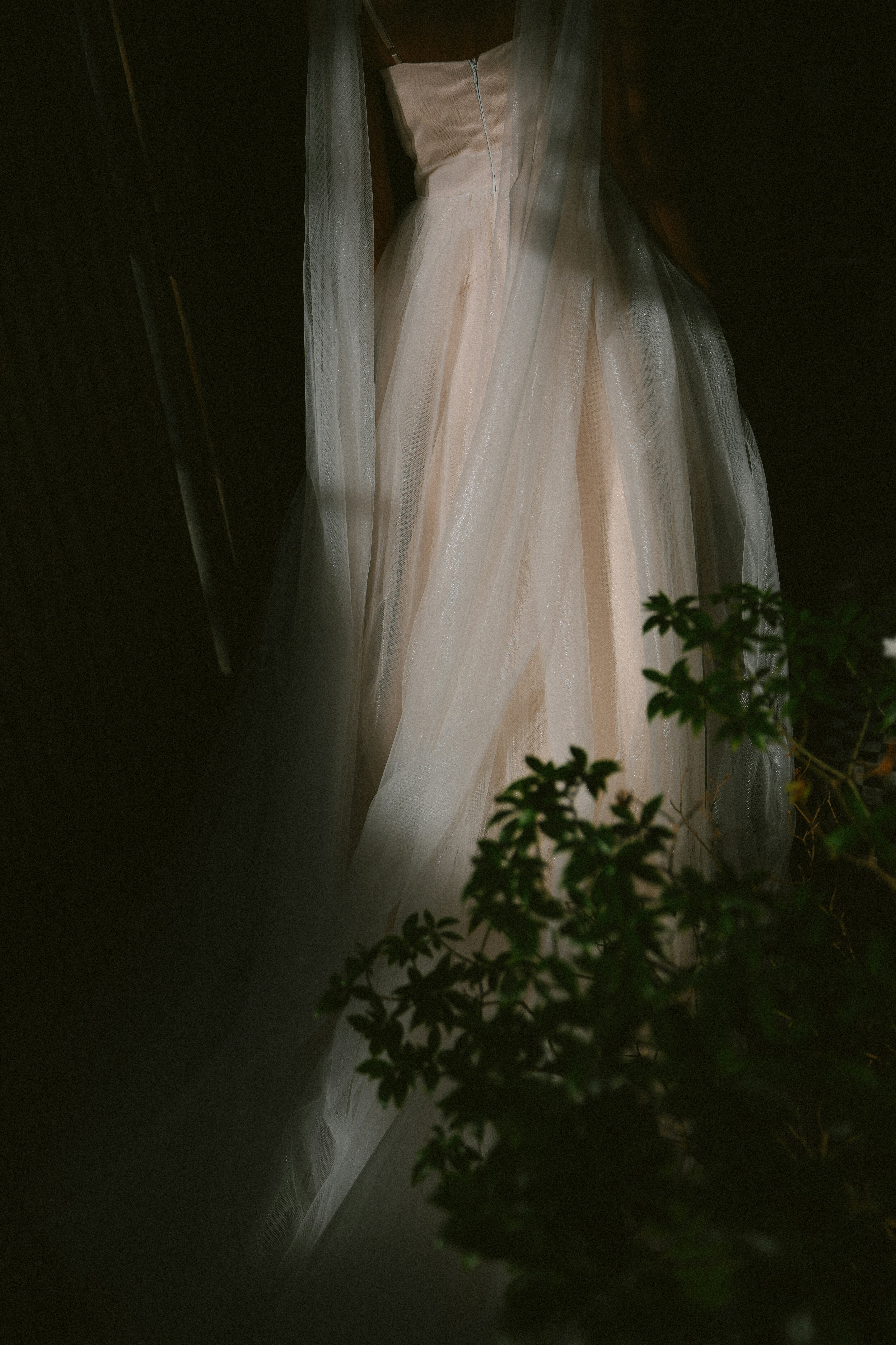 Photo by hoianphotographer