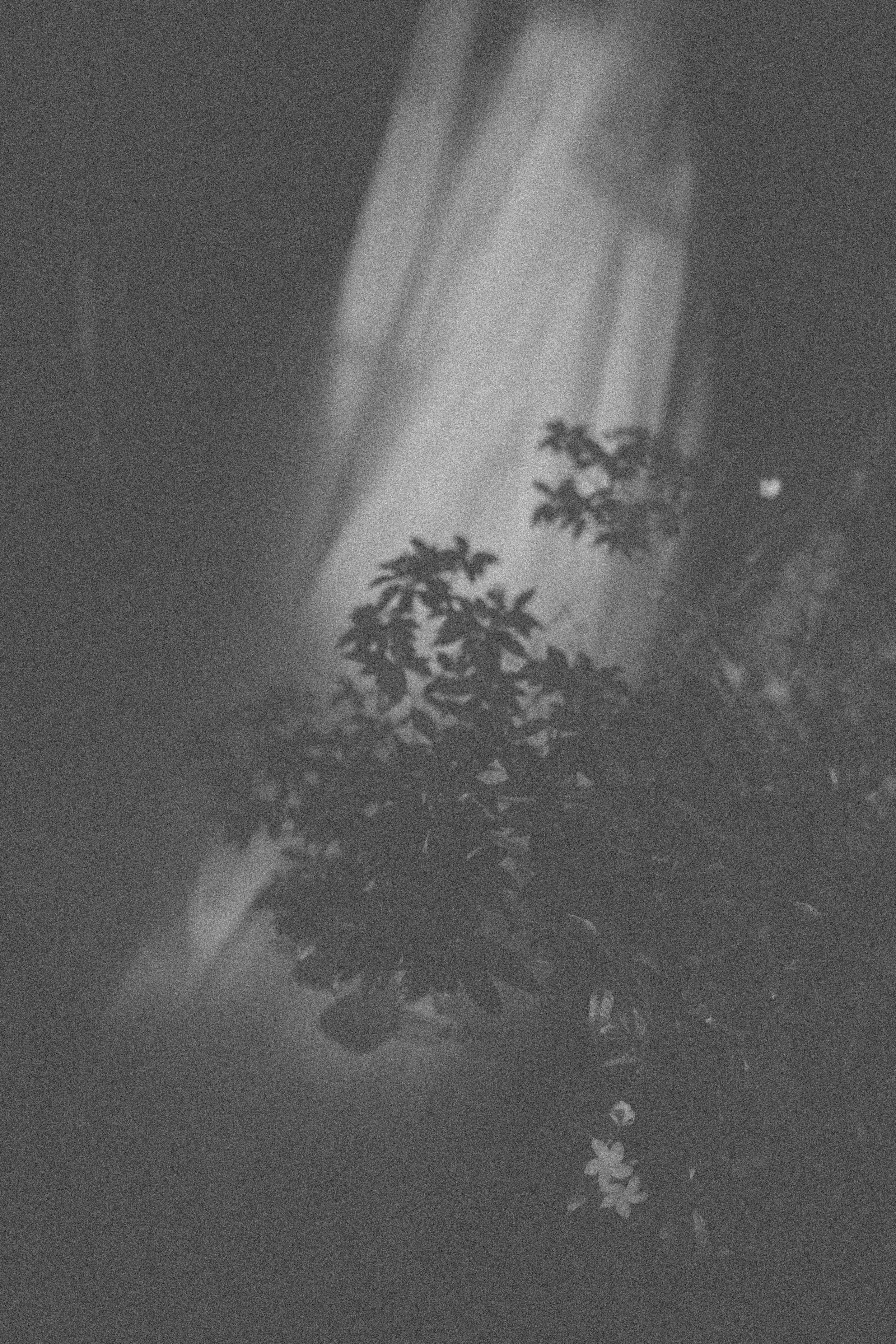 Photo by hoianphotographer