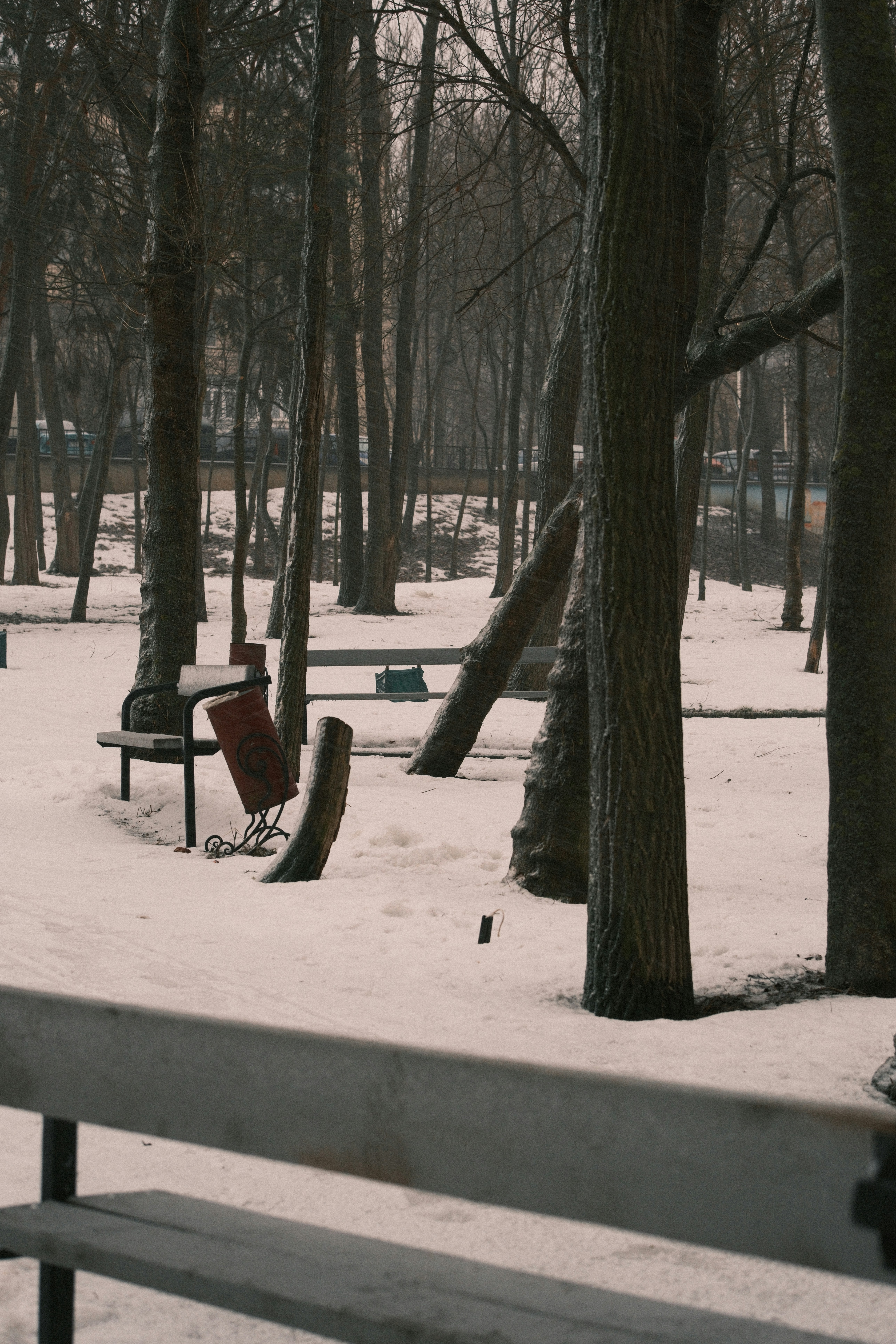 Photo by kolesnykyan