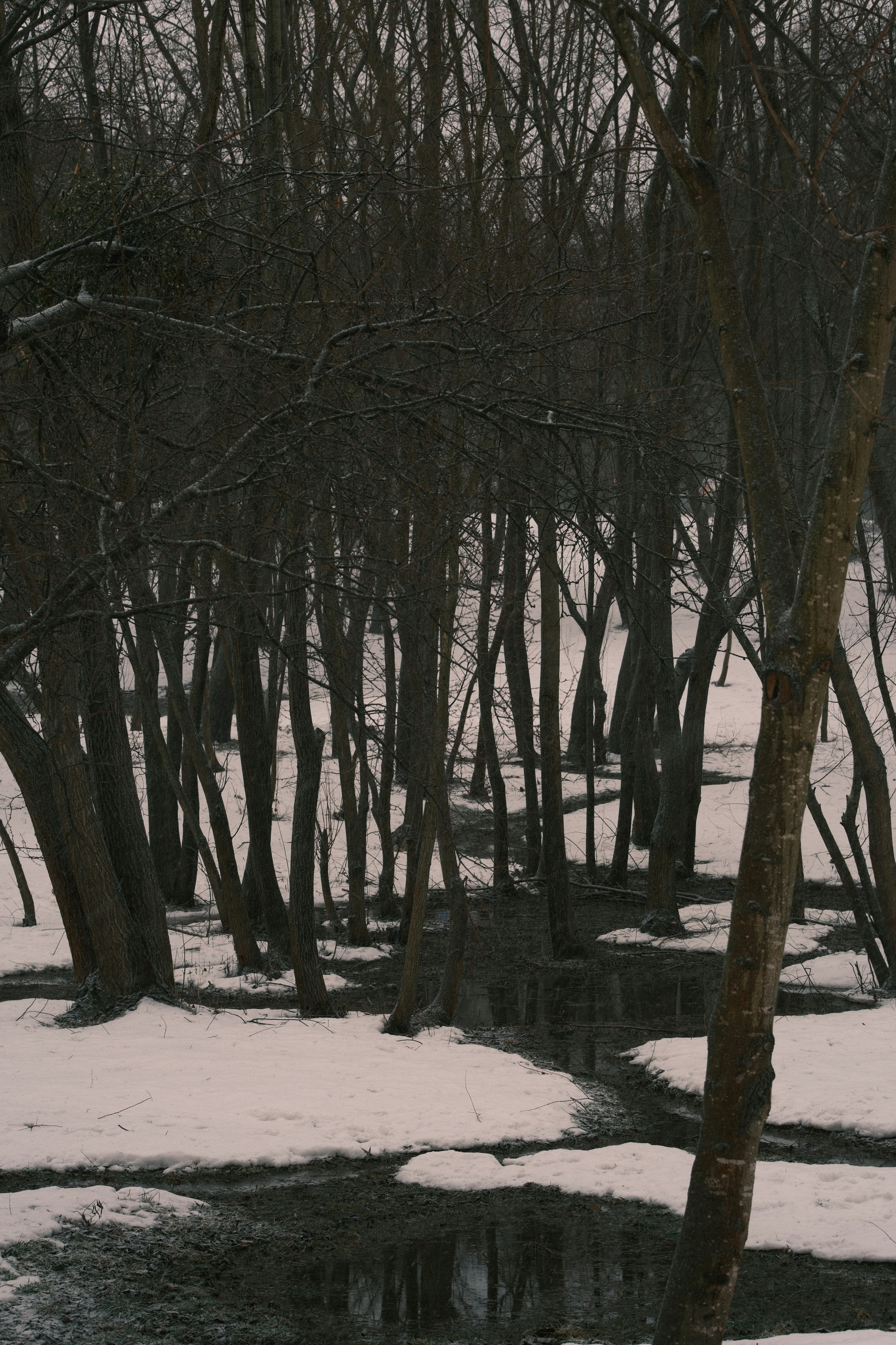 Photo by kolesnykyan