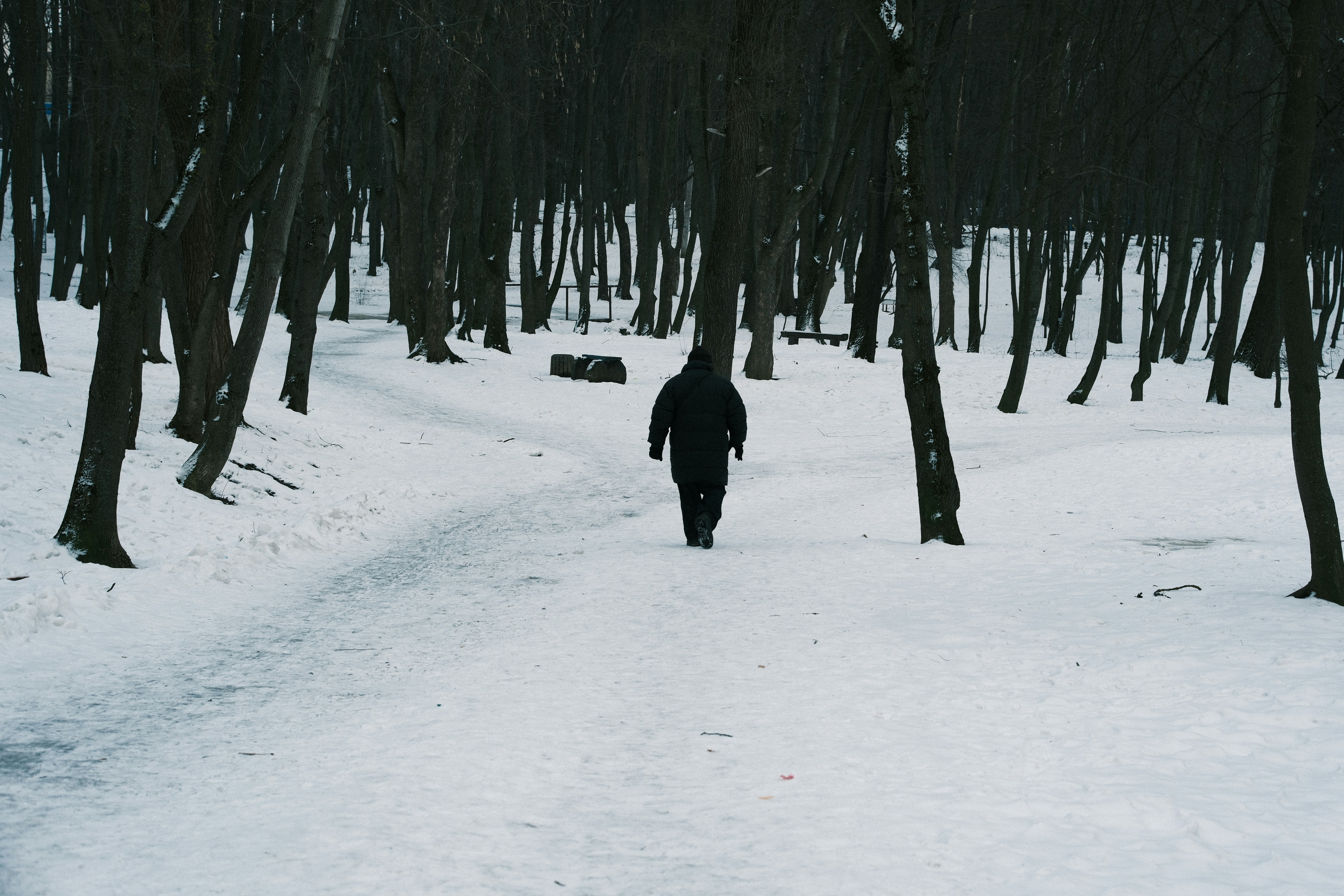 Photo by kolesnykyan