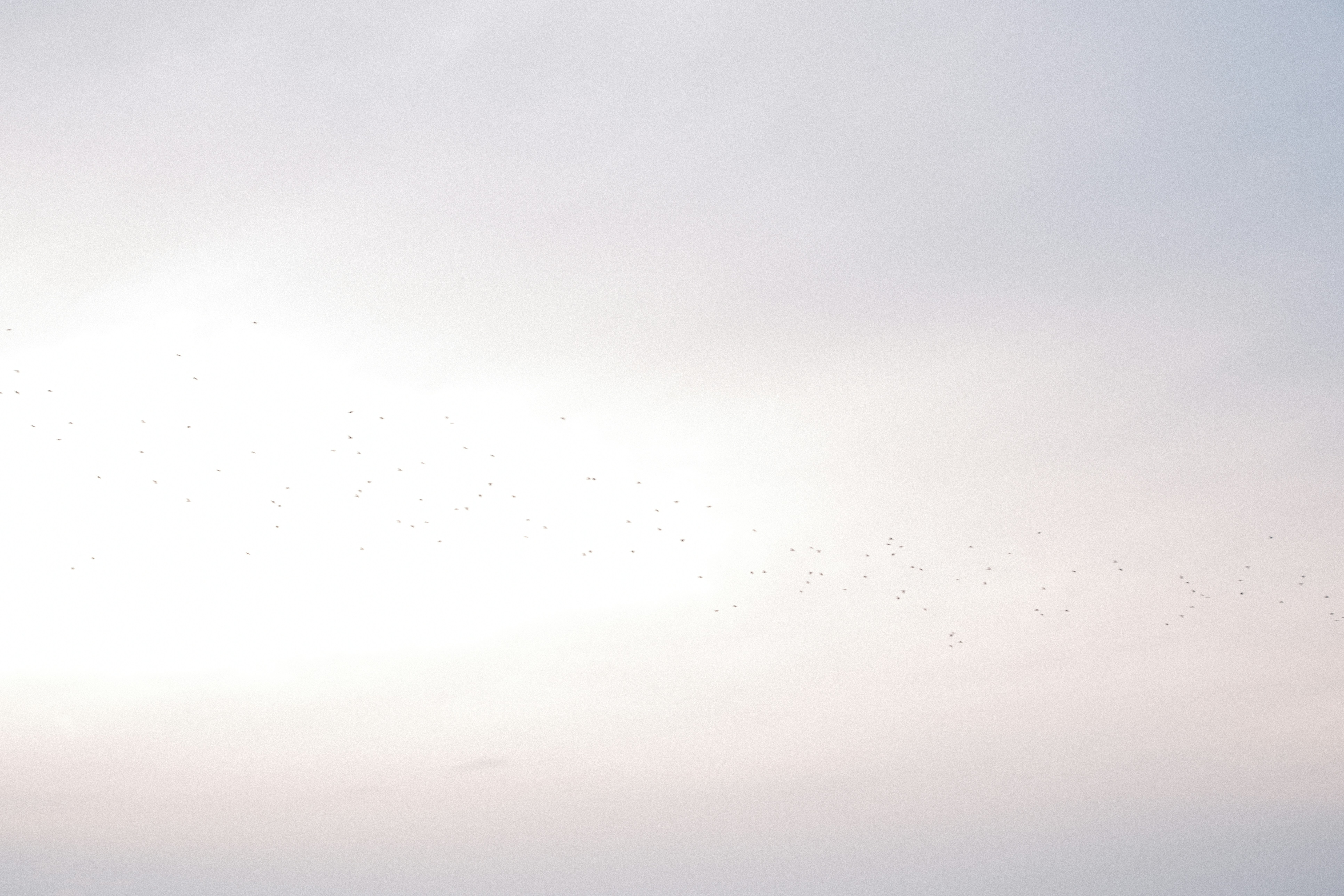 Photo by kolesnykyan