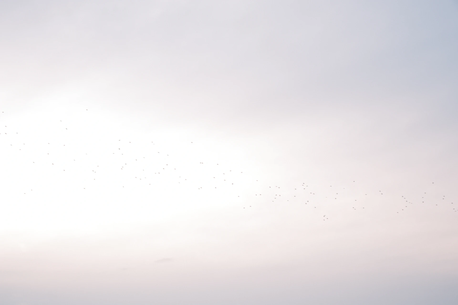 Soft pastel clouds in a hazy sky
