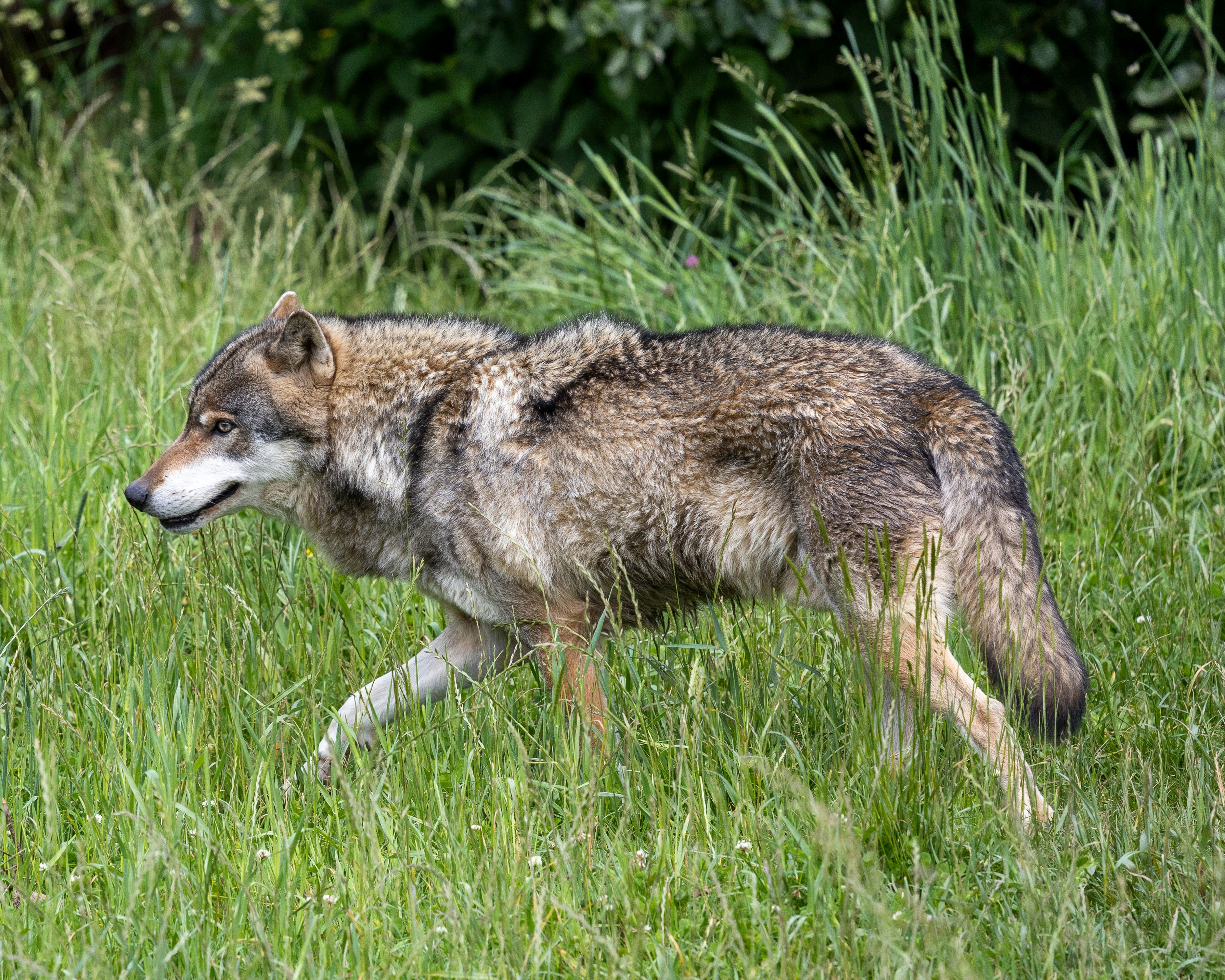 Photo by janis_photography