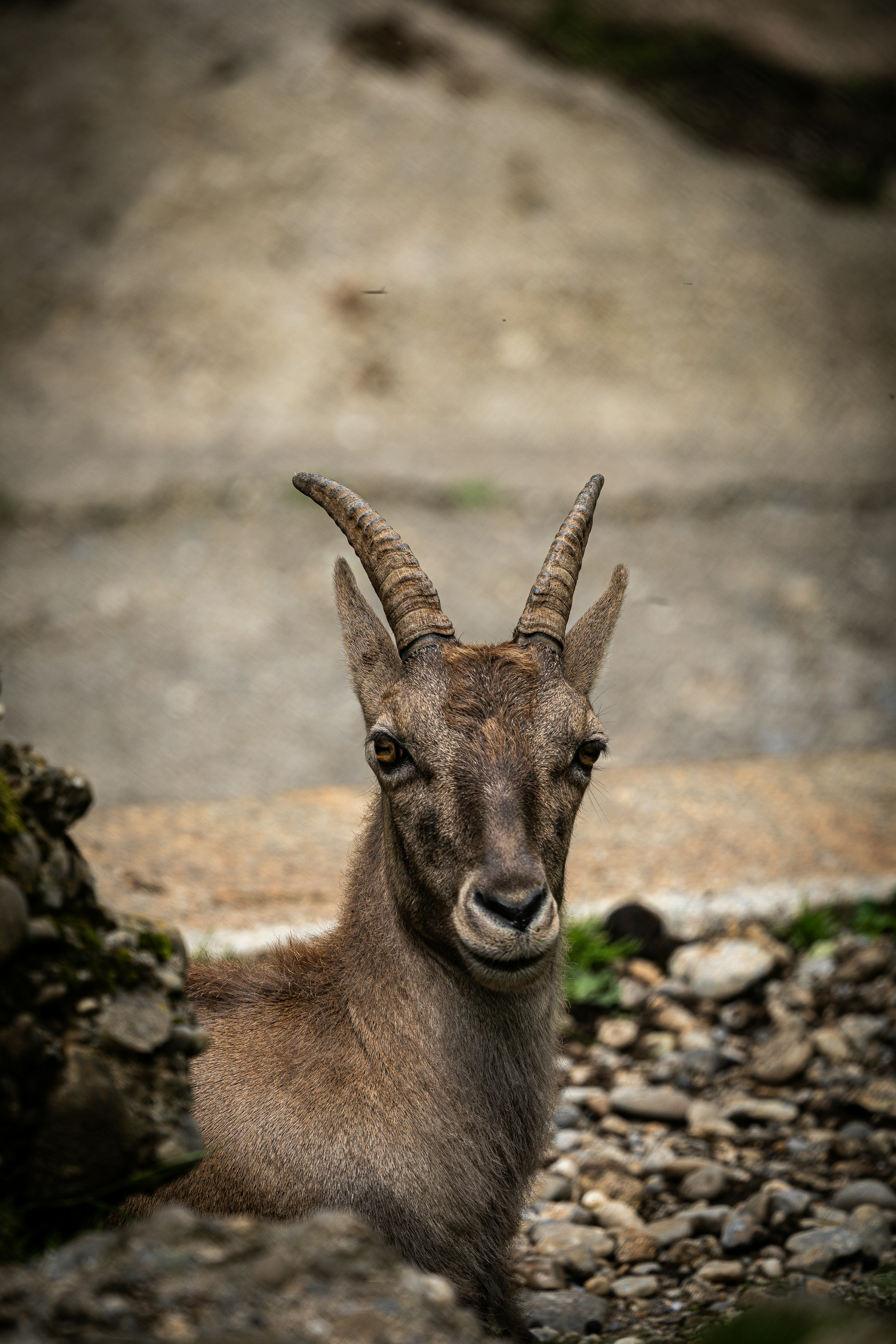 Photo by janis_photography