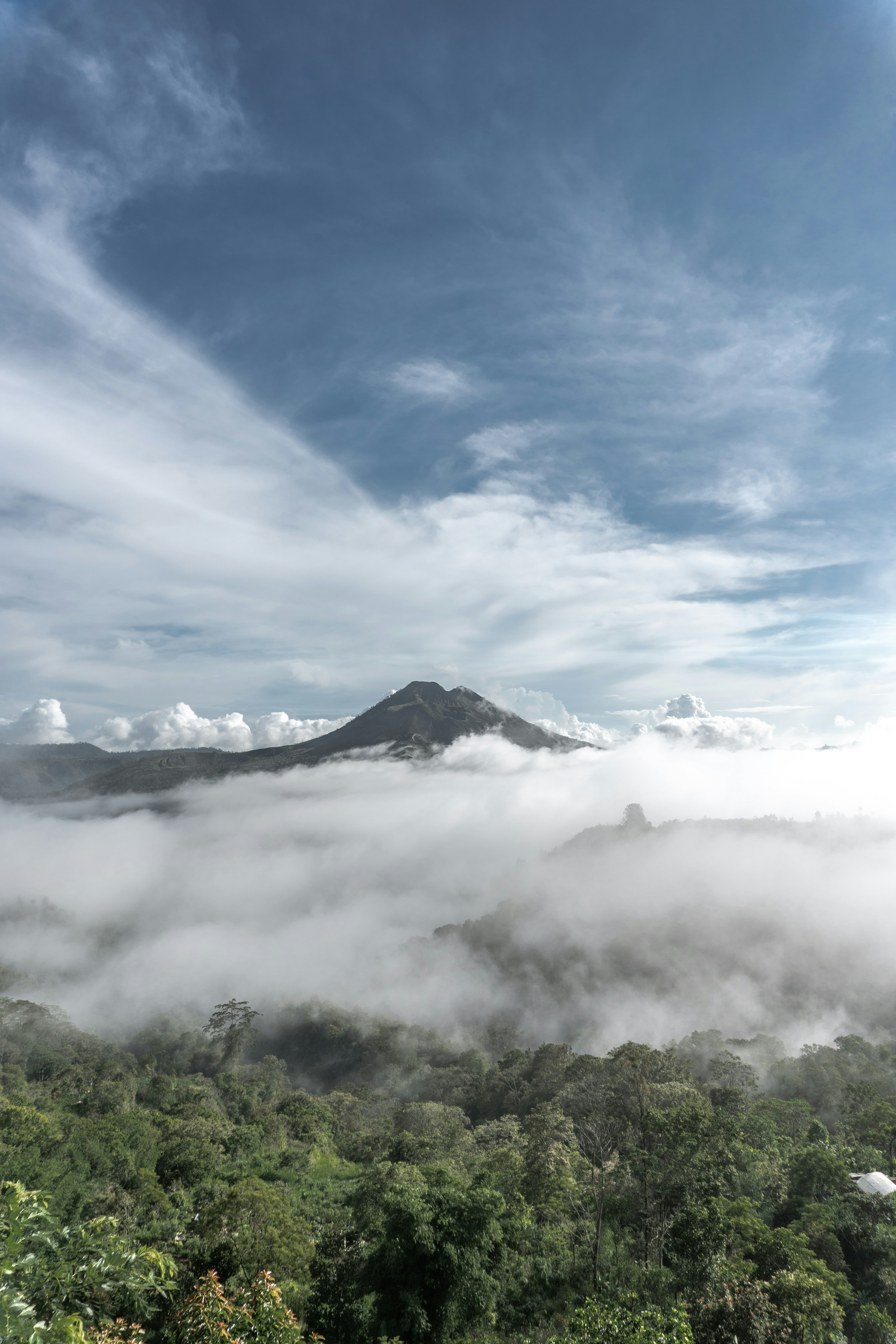 Photo by p_kuzovkova