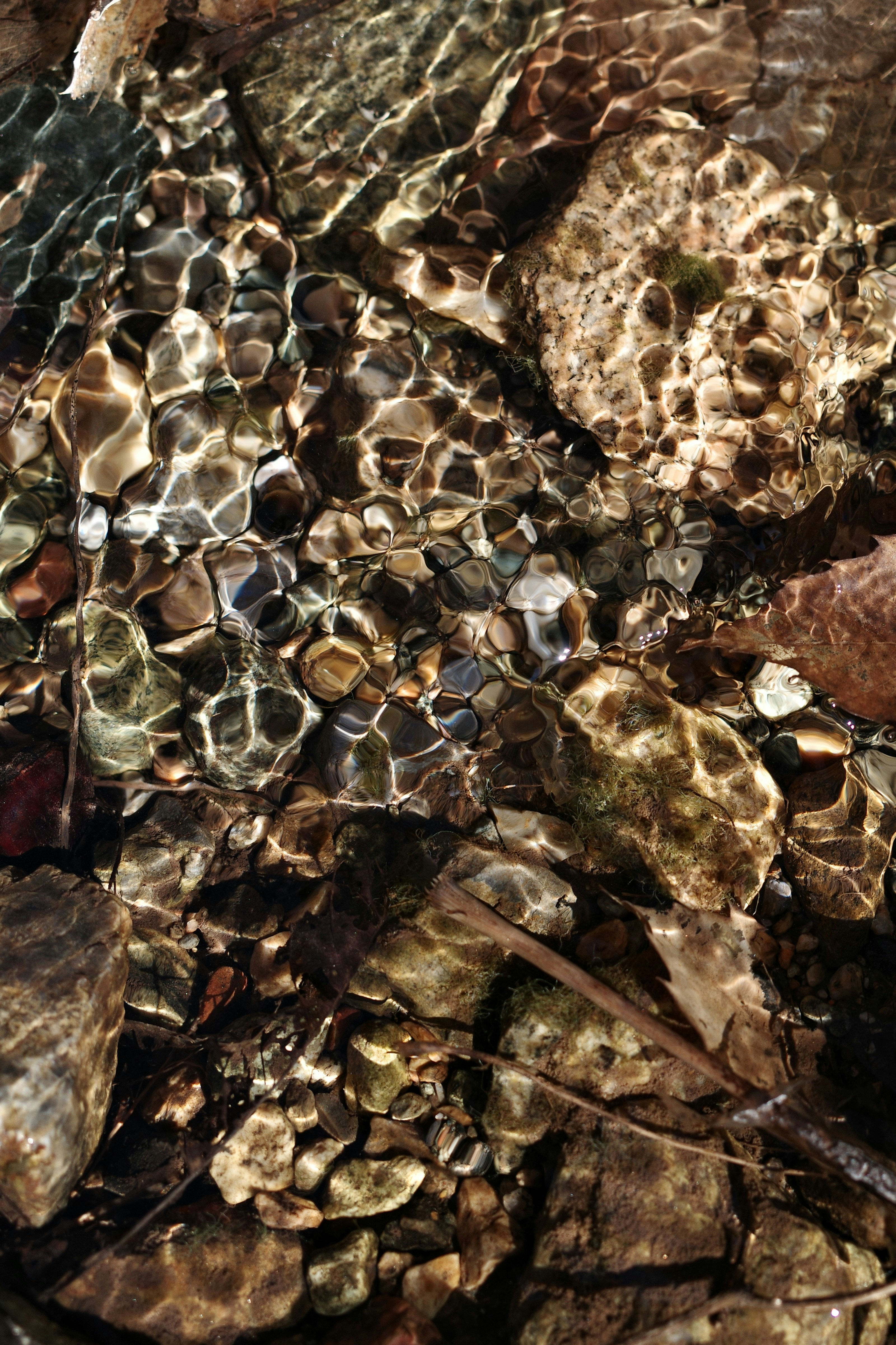 La luz del sol filtrándose sobre las rocas y guijarros del río bajo el agua