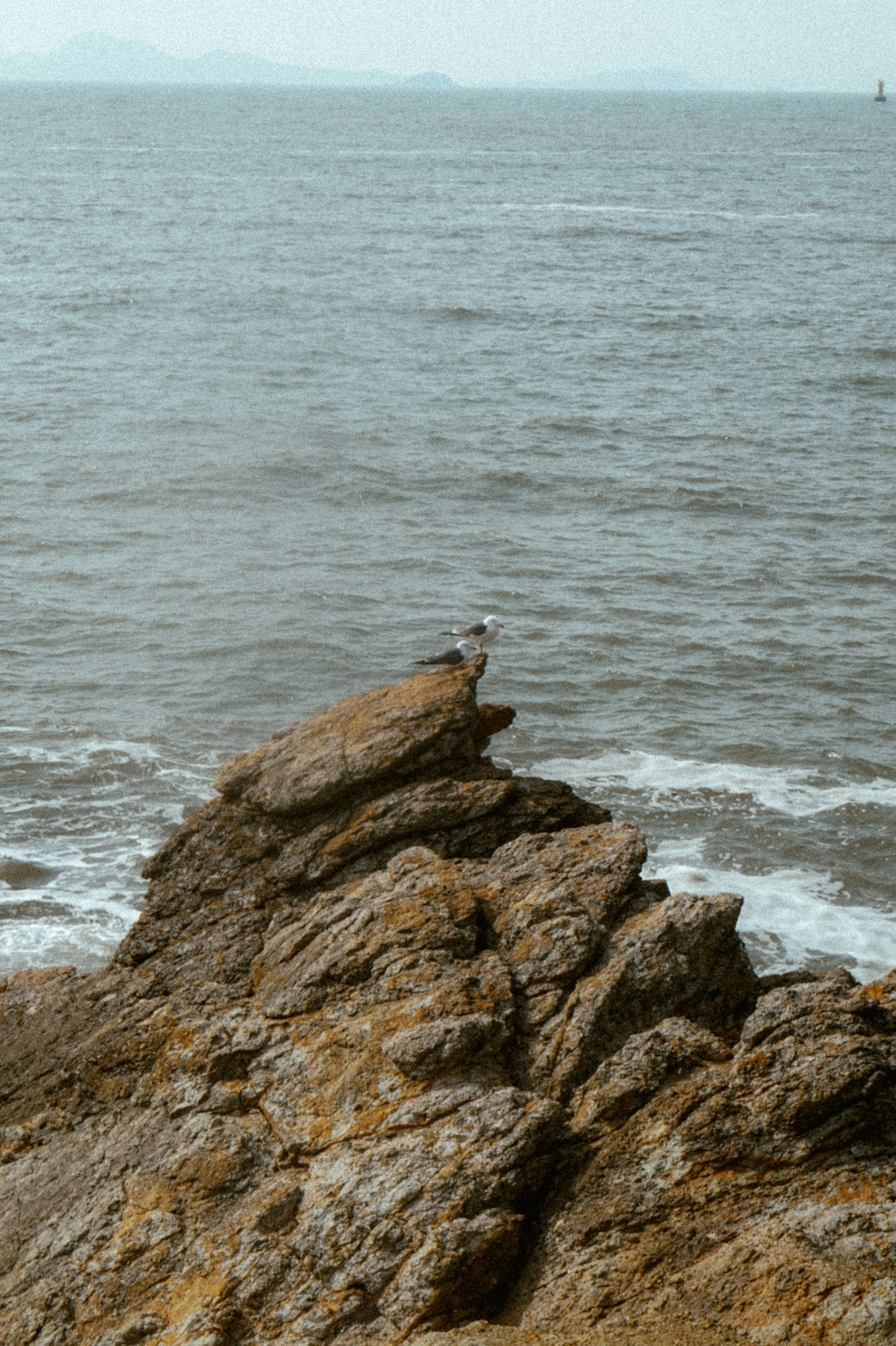 Photo by thingsneverchange