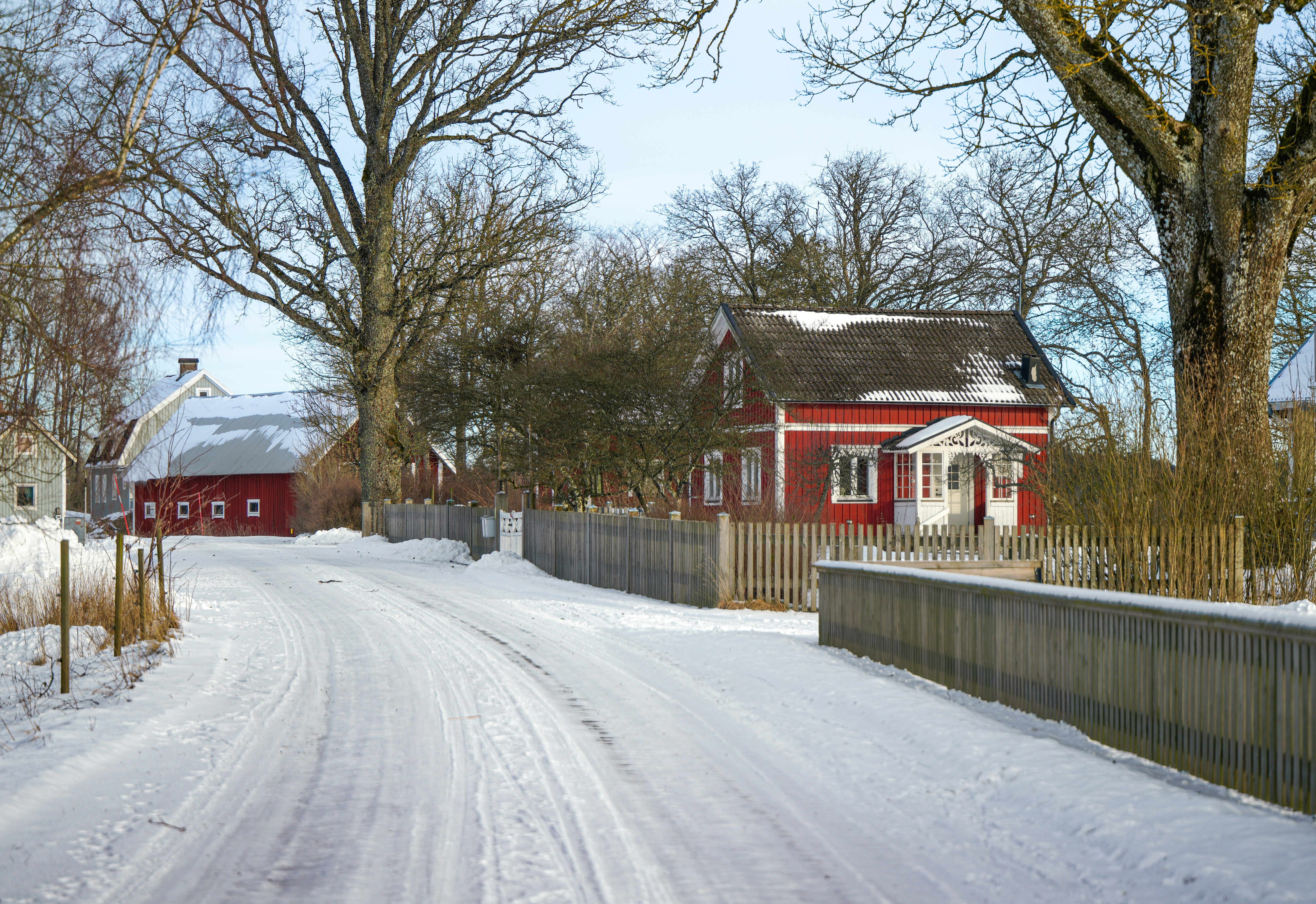 A snowy road leads to red houses in winter.