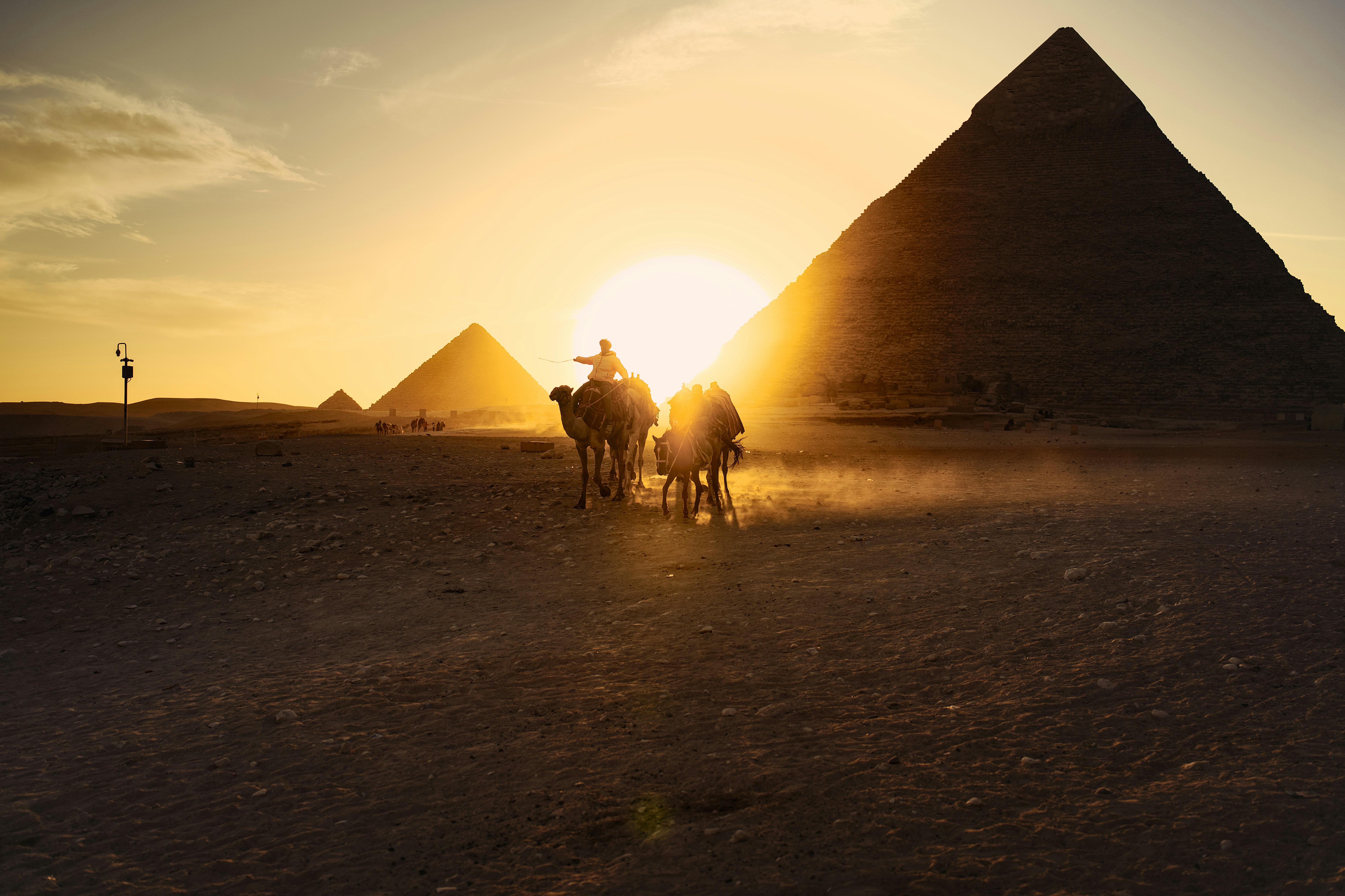 Camels walk past pyramids at sunset