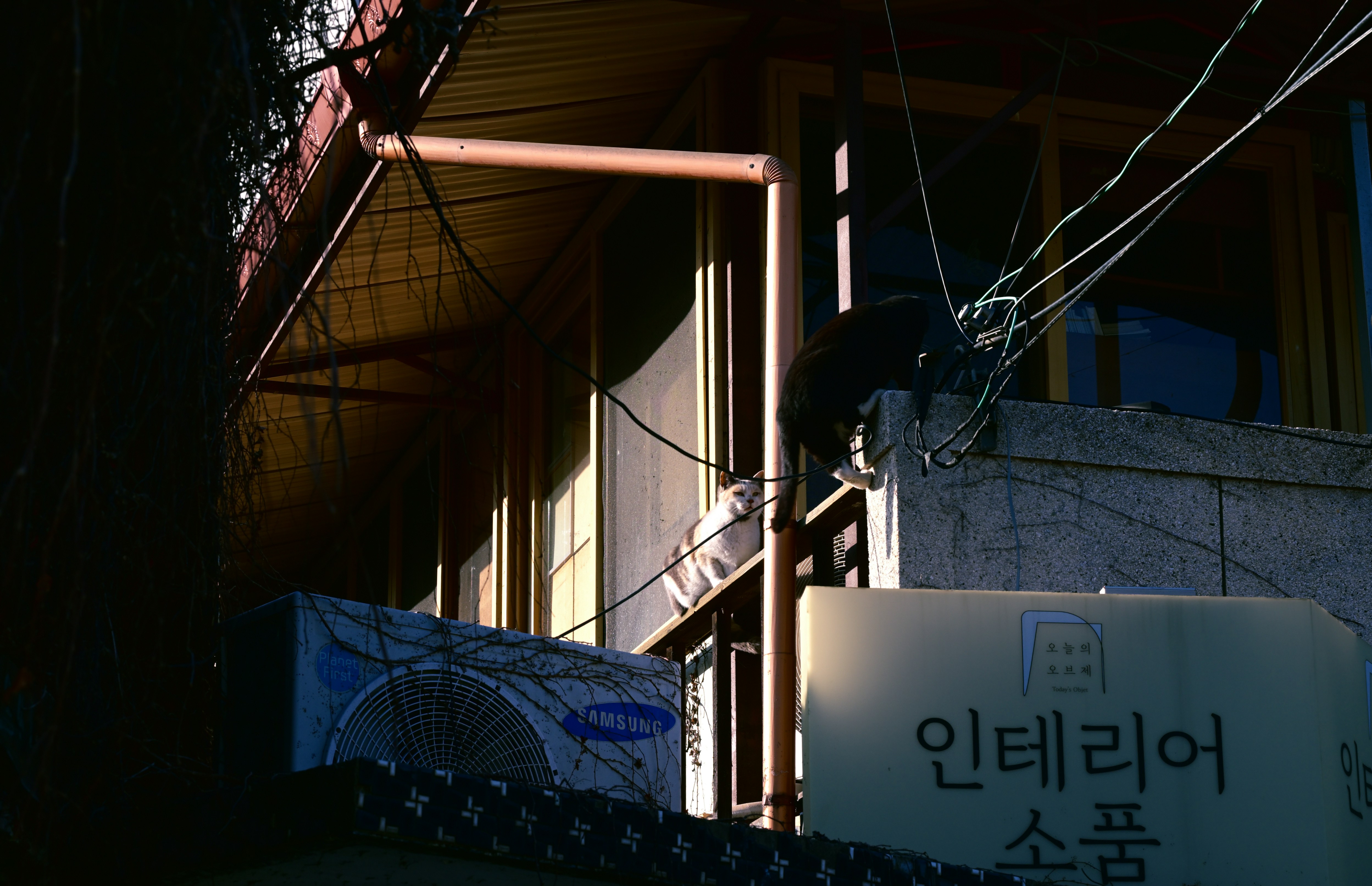 photo-1771325942740-9d2a3d2e288c?ixid=M3wxMjA3fDB8MXxzZWFyY2h8MTJ8fCVFQyU5QSVCOCVFQyU4RSU4NCVFQiU5RCVCQyUyMCVFRCU5QSVBOCVFQSVCMyVCQ3xlbnwwfHx8fDE3NzkyNjE2MzR8MA\u0026ixlib=rb-4.1.0