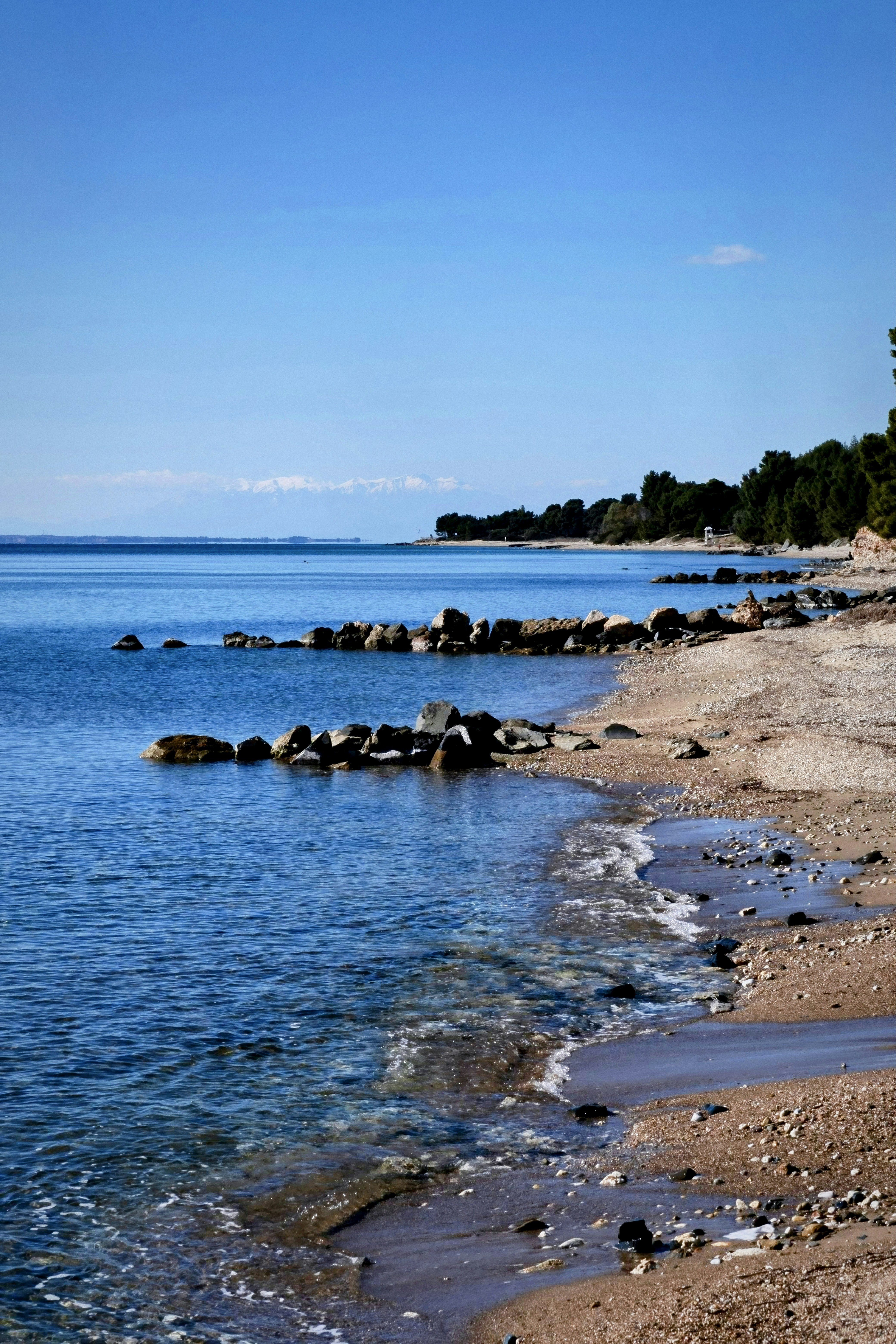 Photo by vlaphrodite