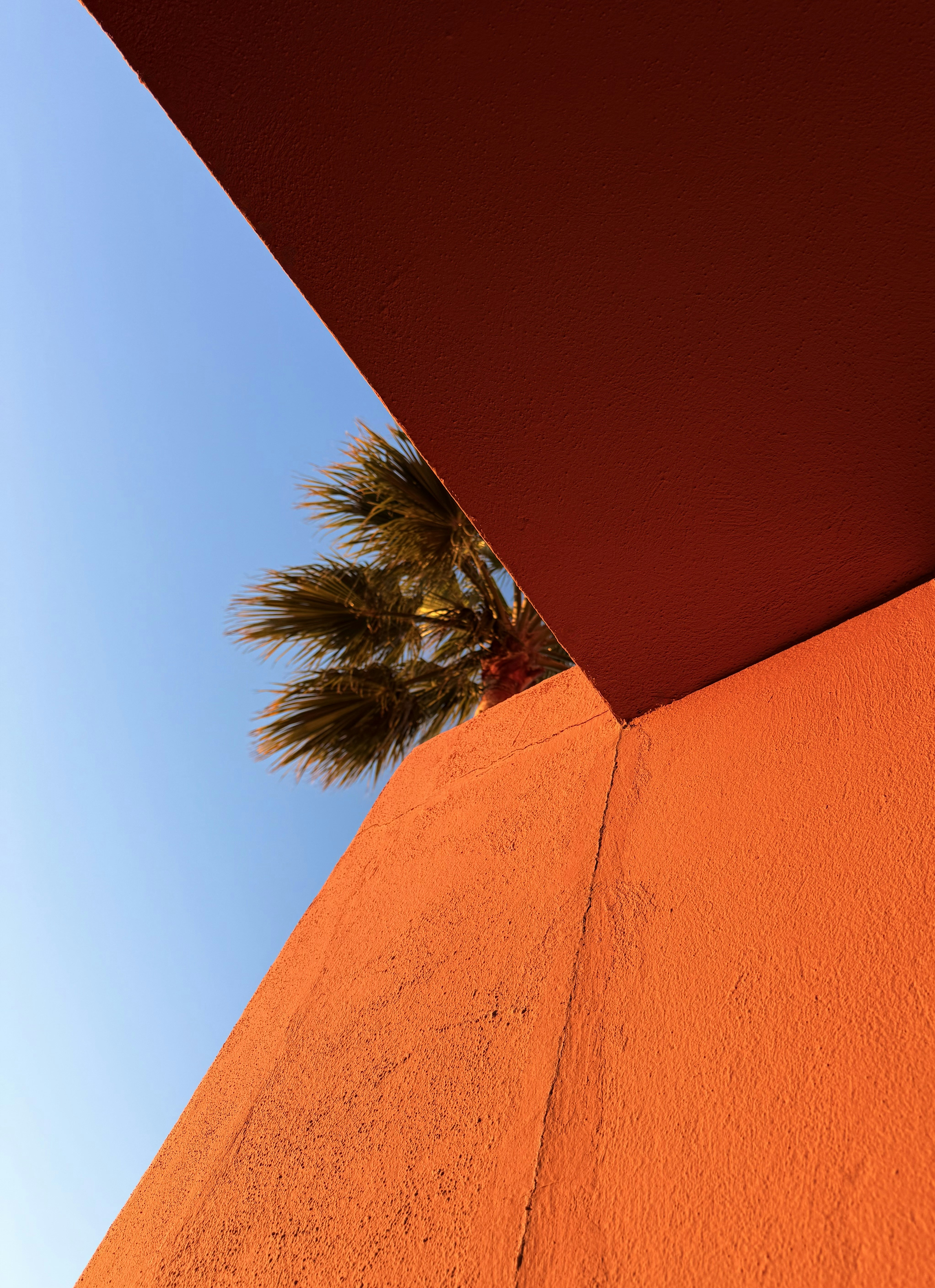 Palm tree fronds visible against blue sky between orange walls