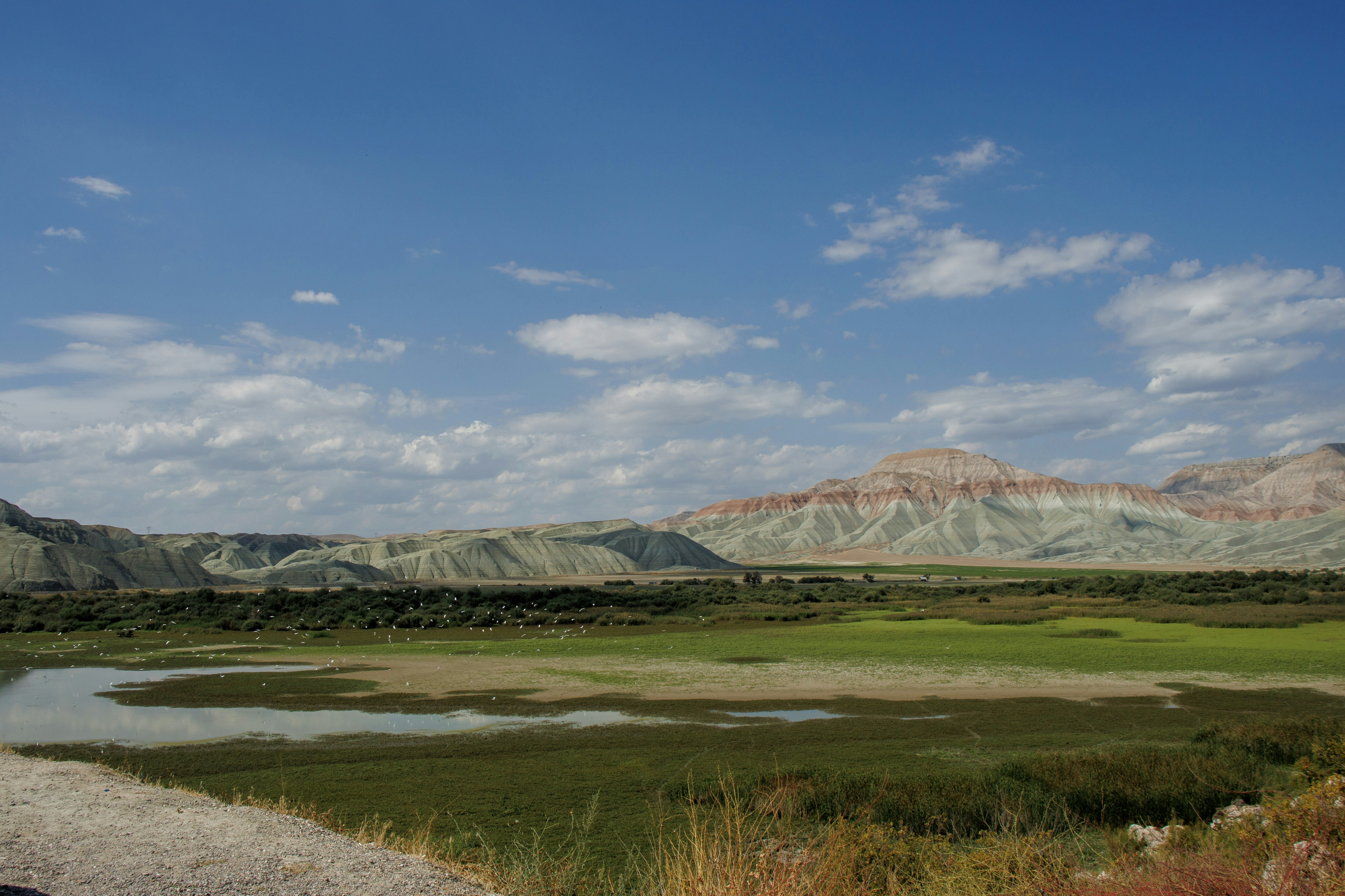 Photo by mustafayigitt