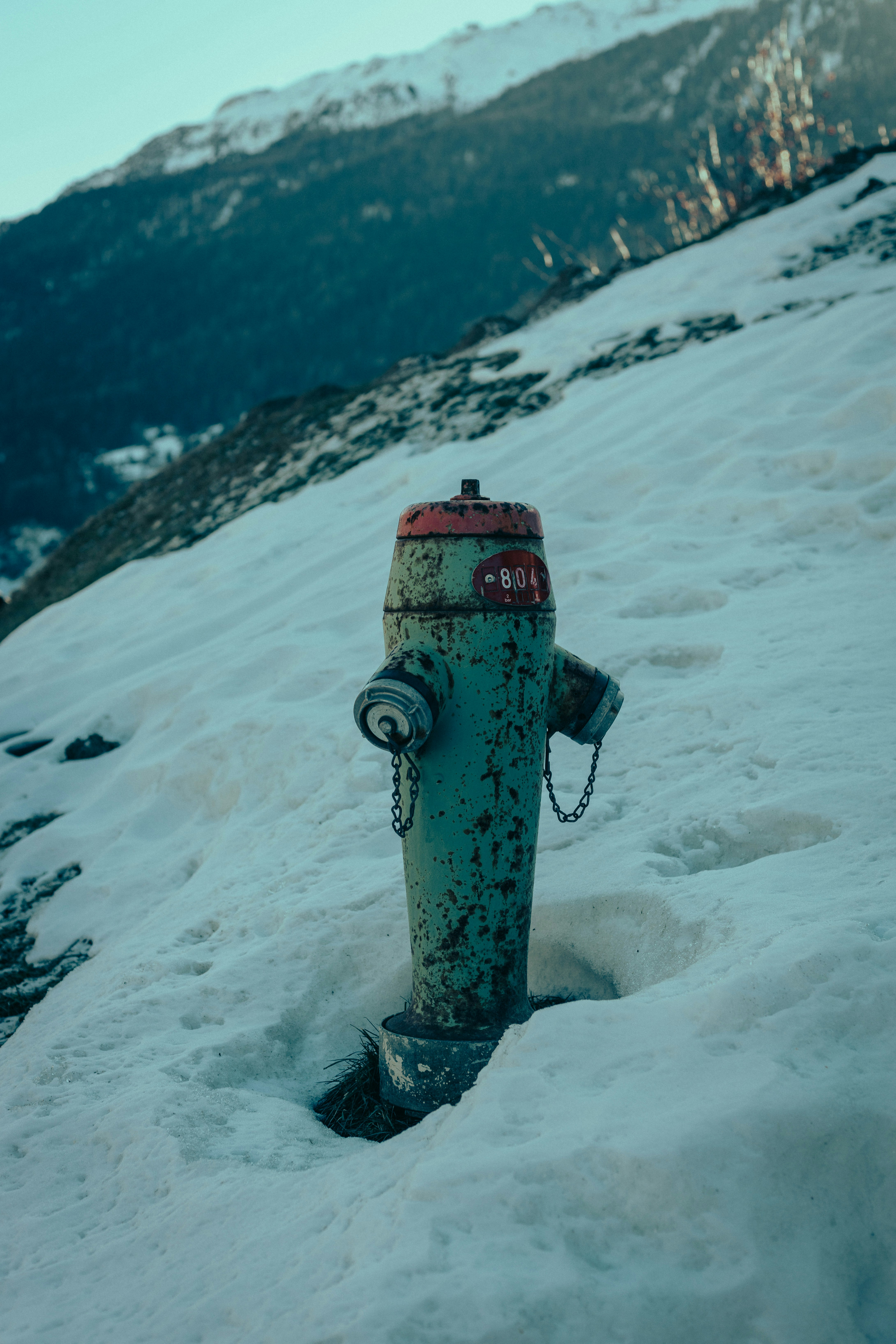 A green fire hydrant stands in the snow.