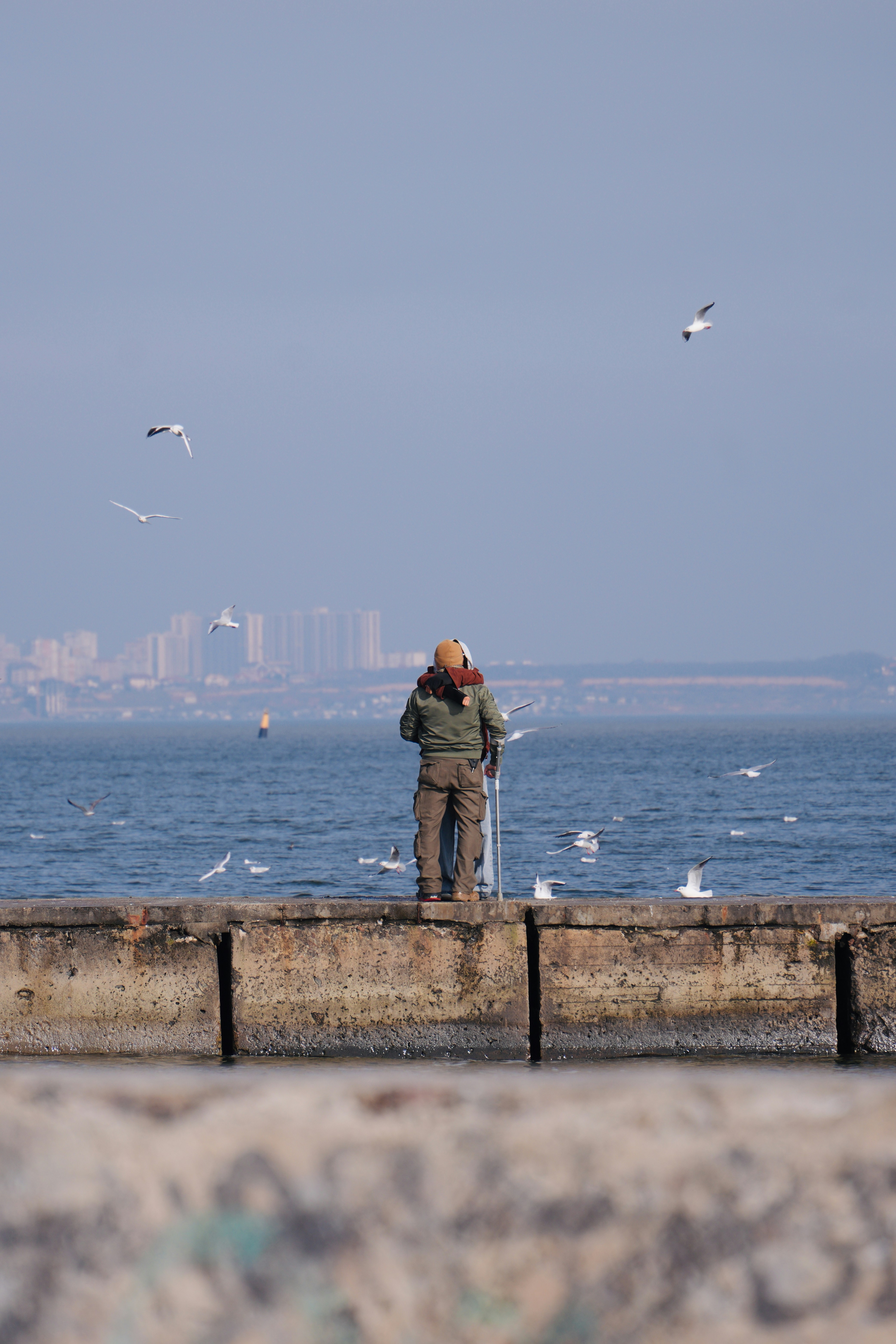 Person standing on a pier with seagulls flying around.