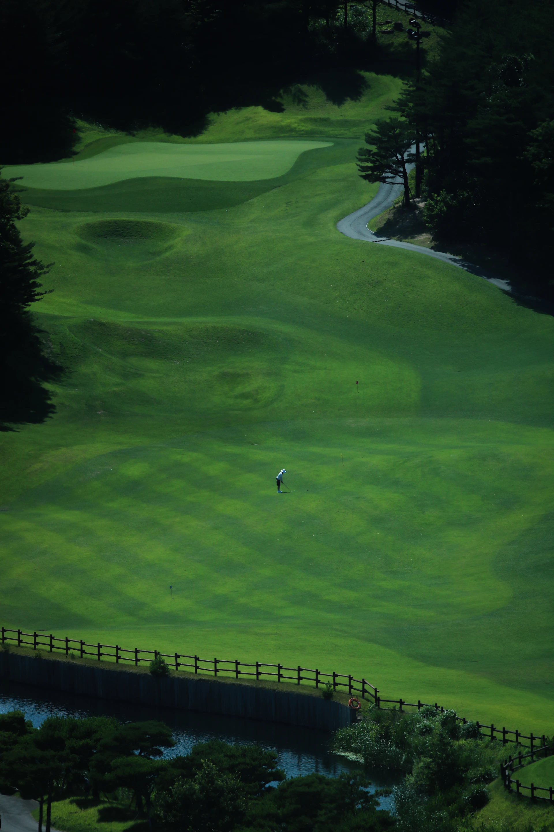 A lone golfer on a lush green golf course