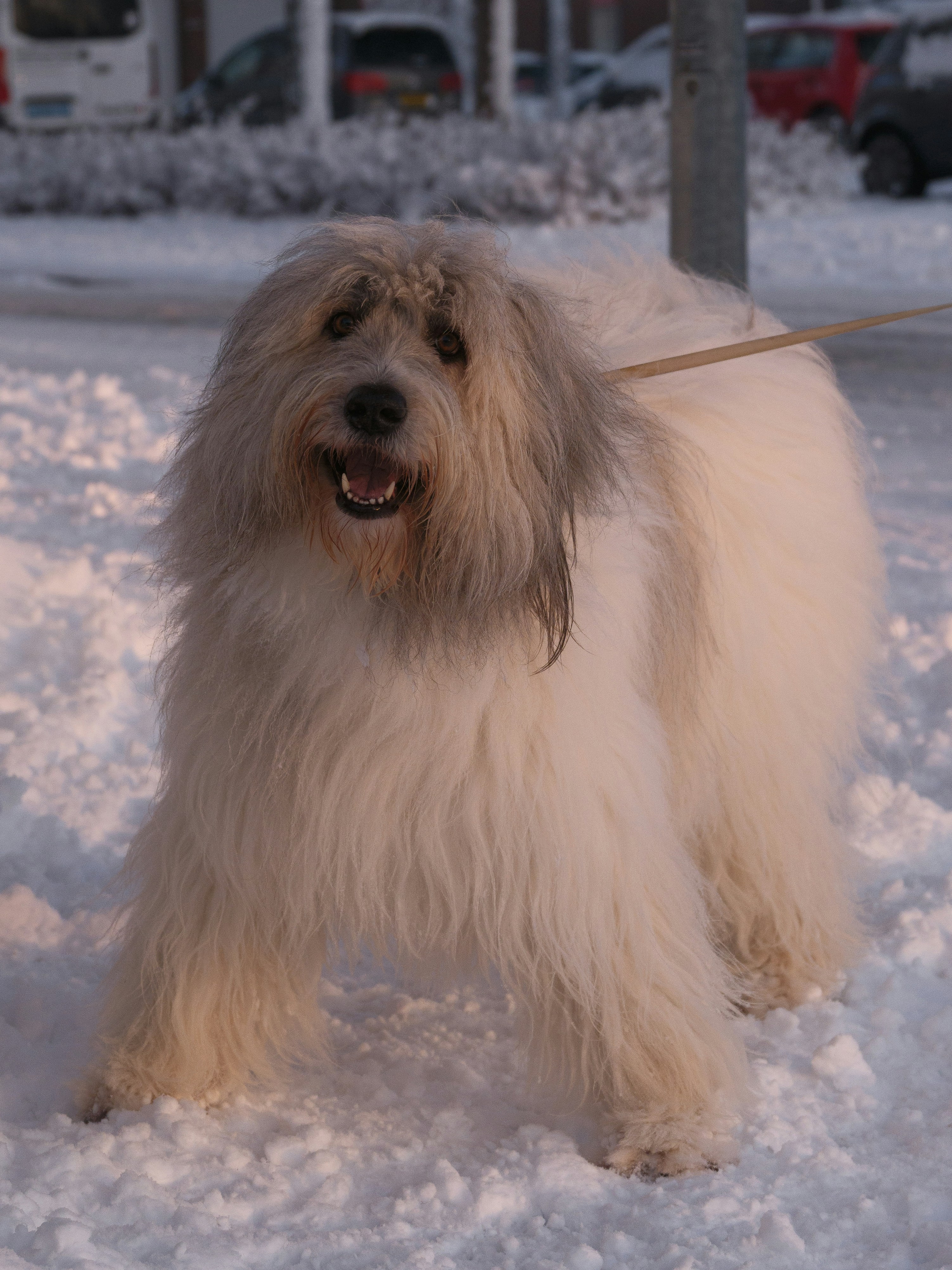 Photo by haberdoedas