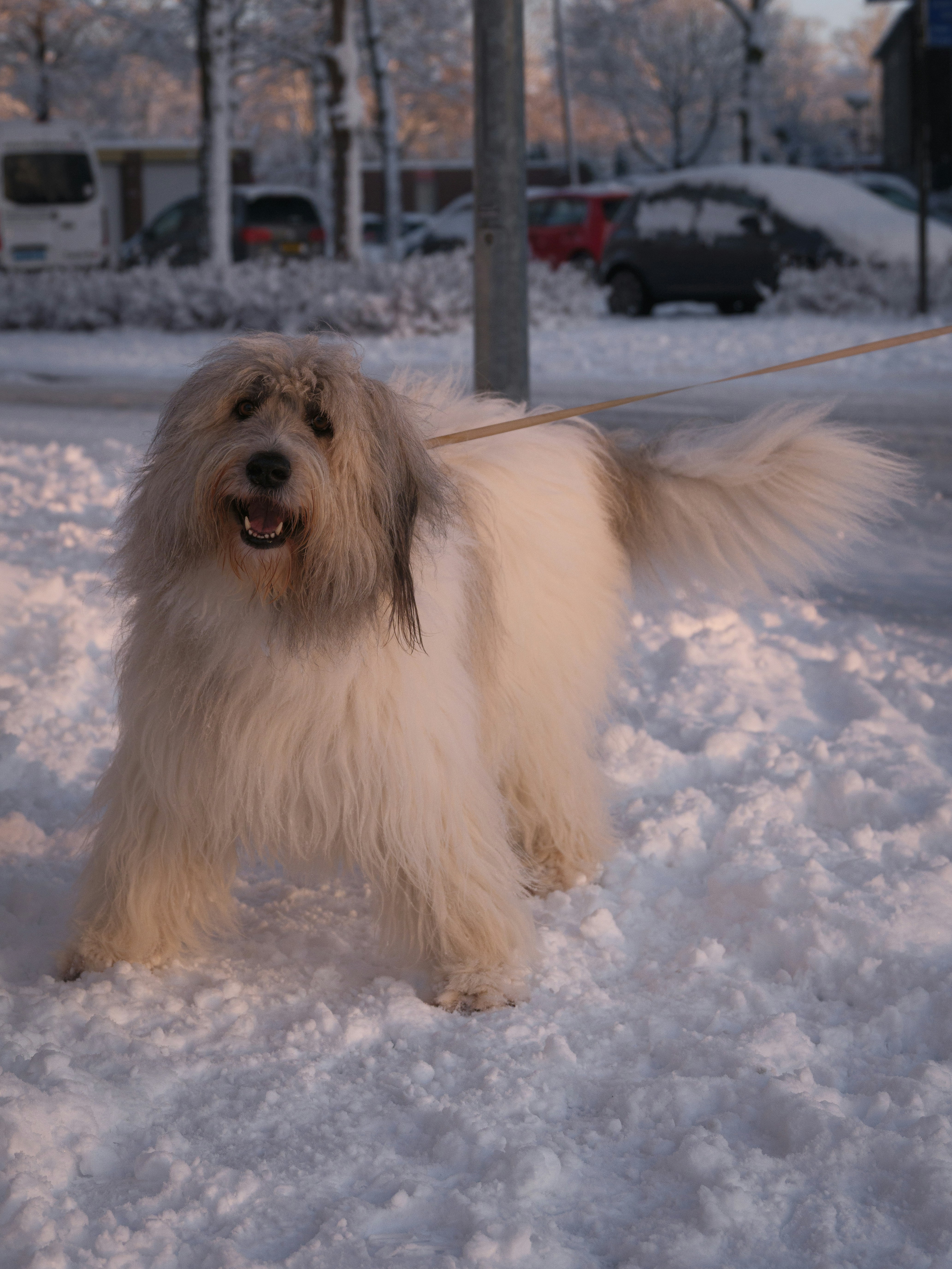 Photo by haberdoedas