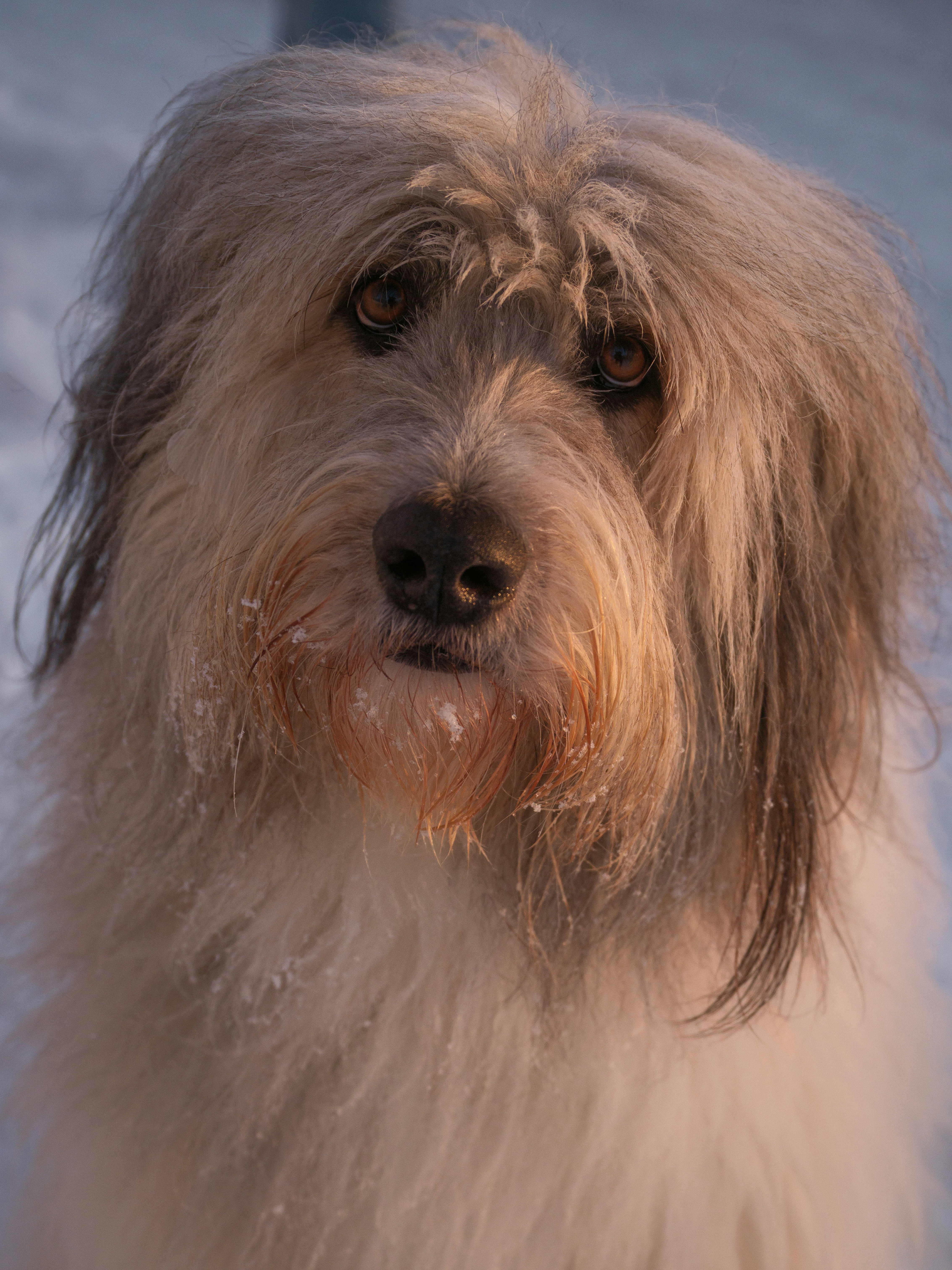 Photo by haberdoedas