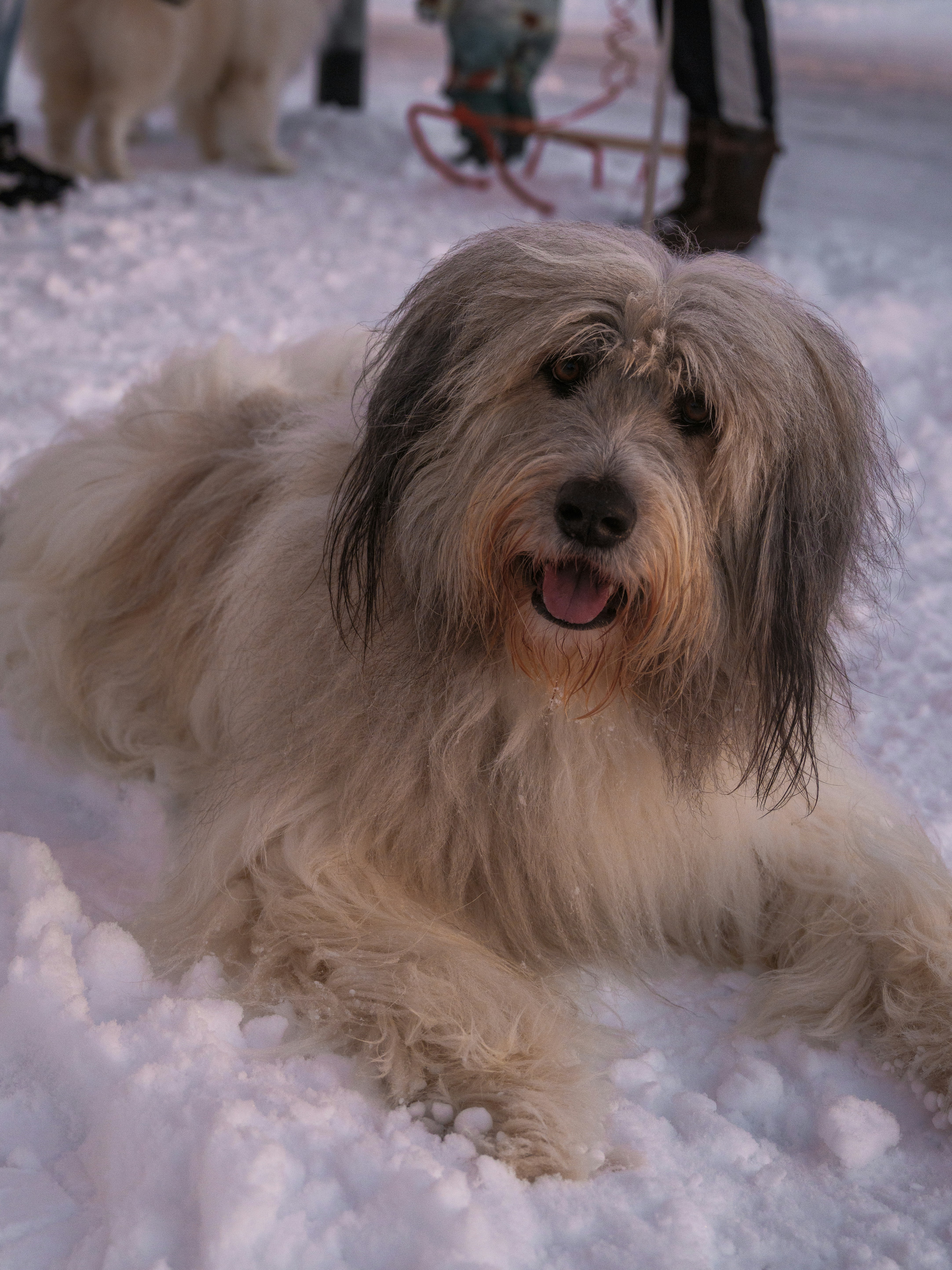 Photo by haberdoedas