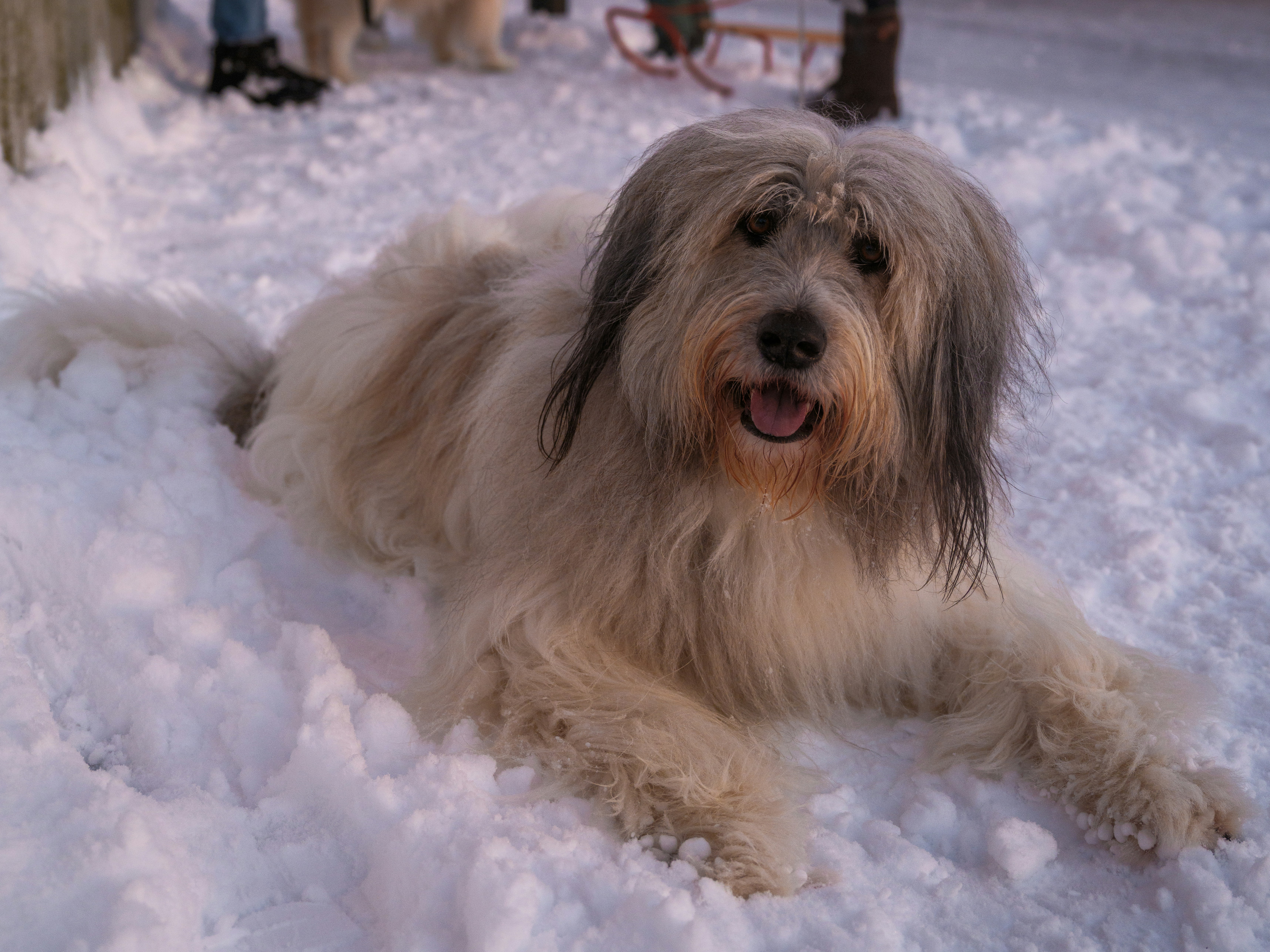 Photo by haberdoedas