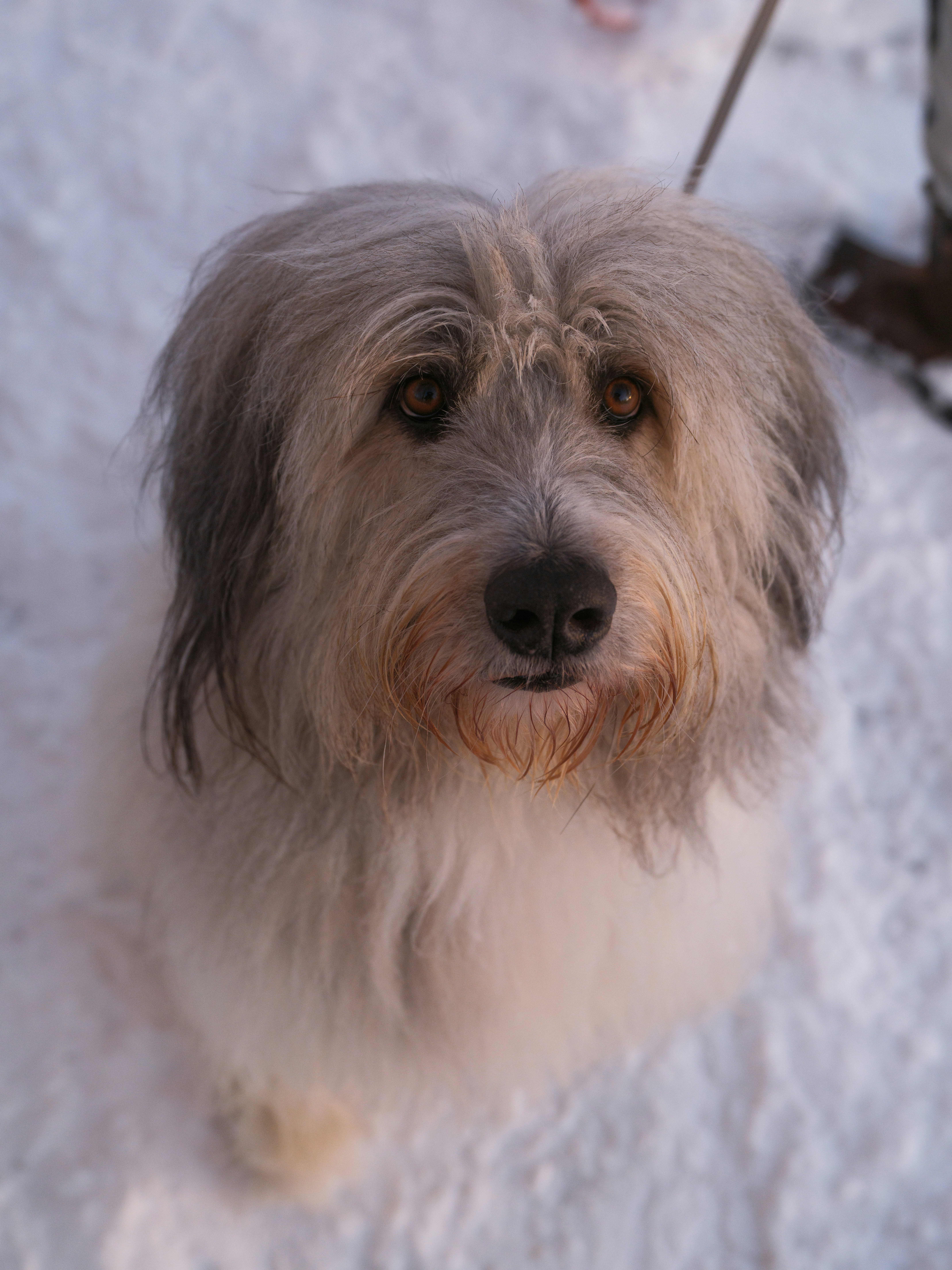 Photo by haberdoedas