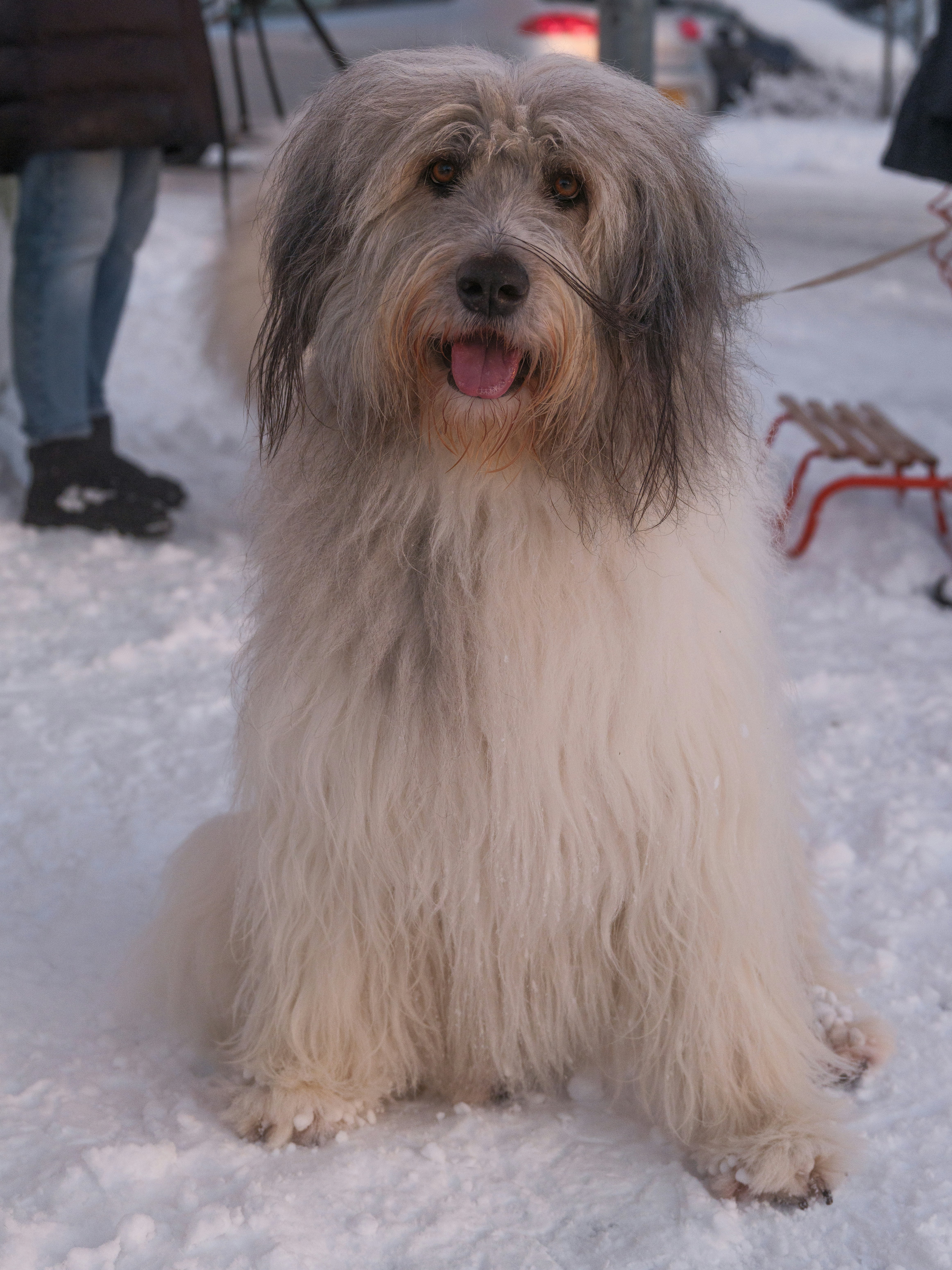 Photo by haberdoedas