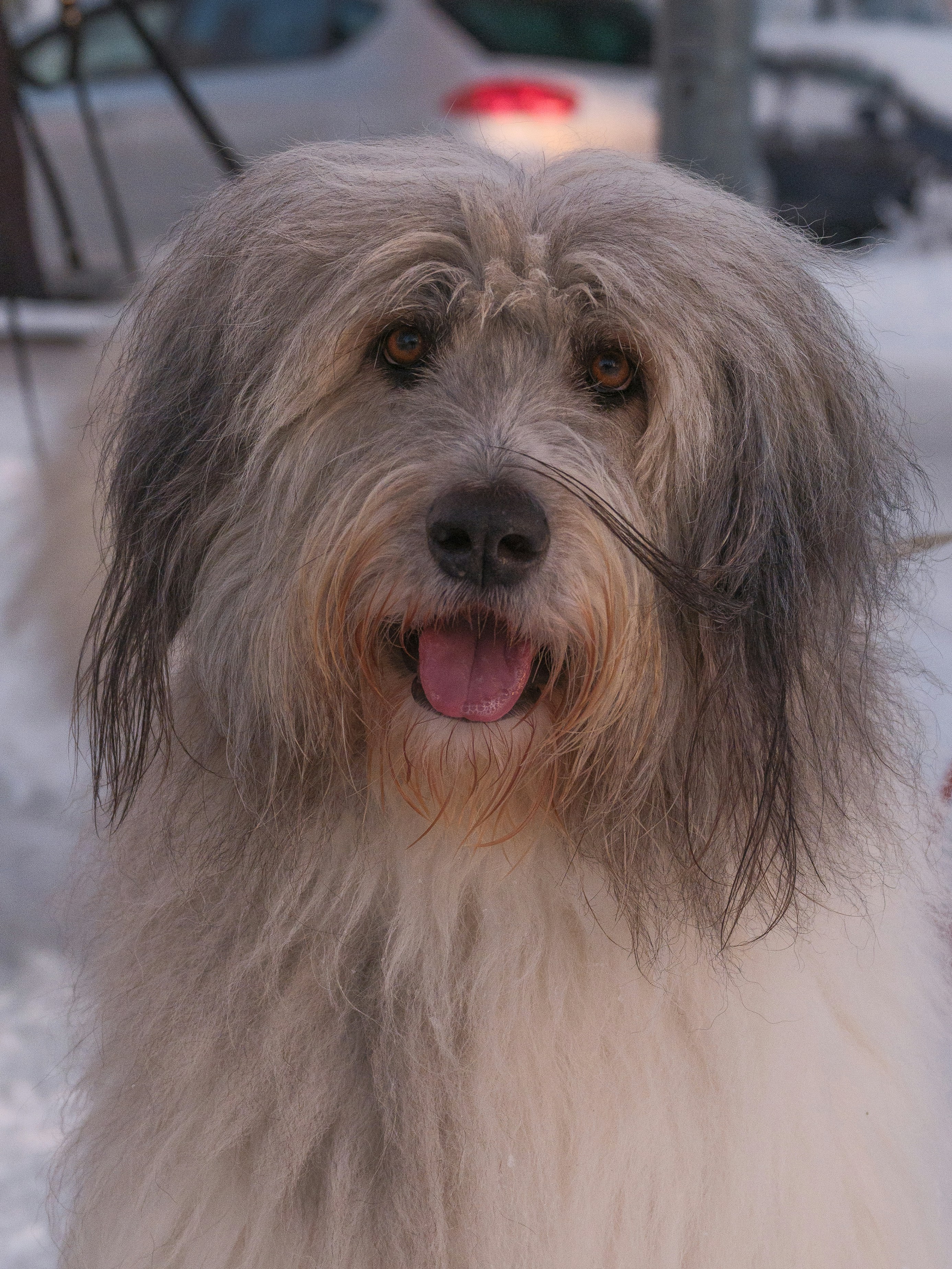 Photo by haberdoedas