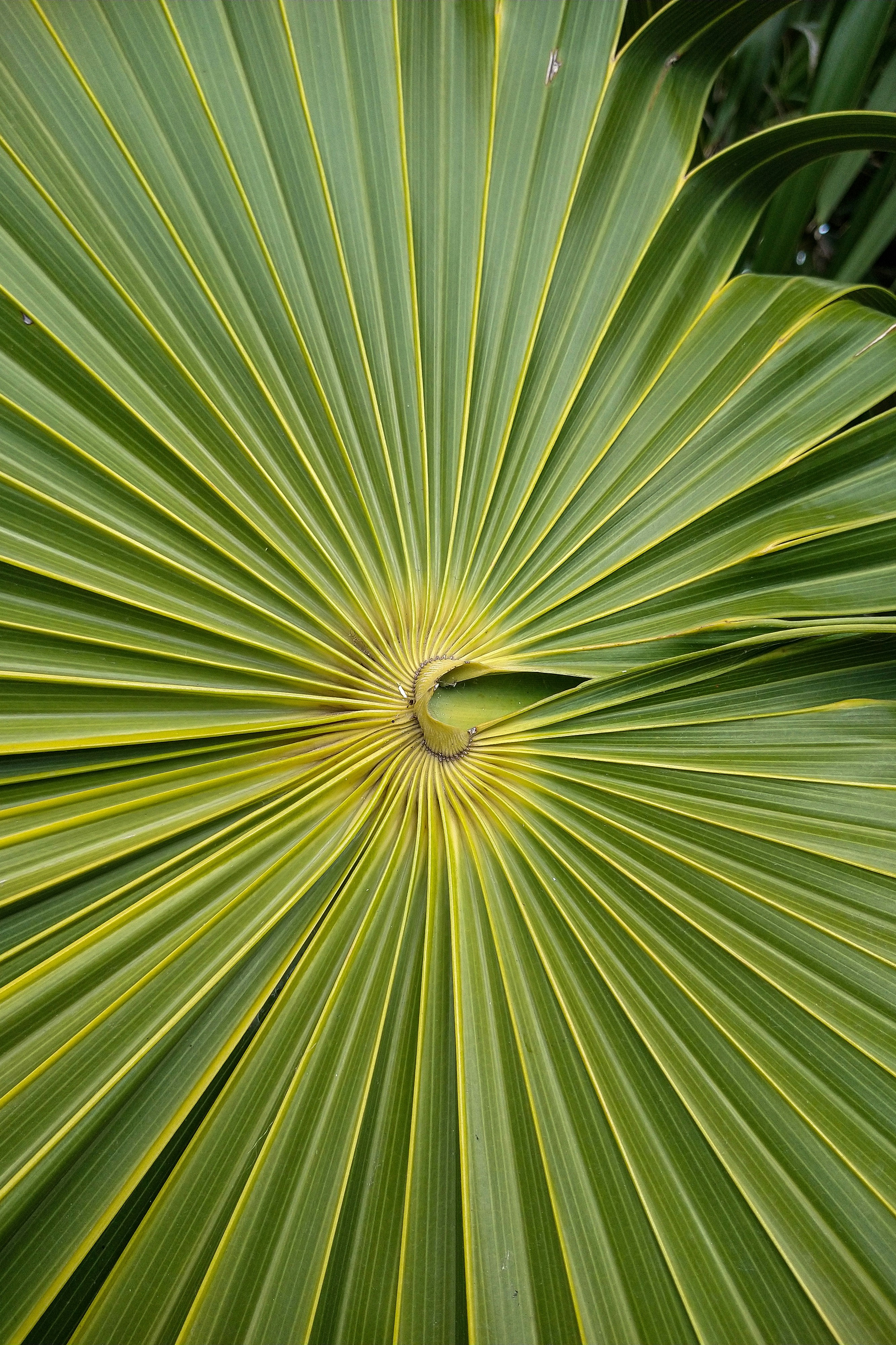 Photo by stadinstudio