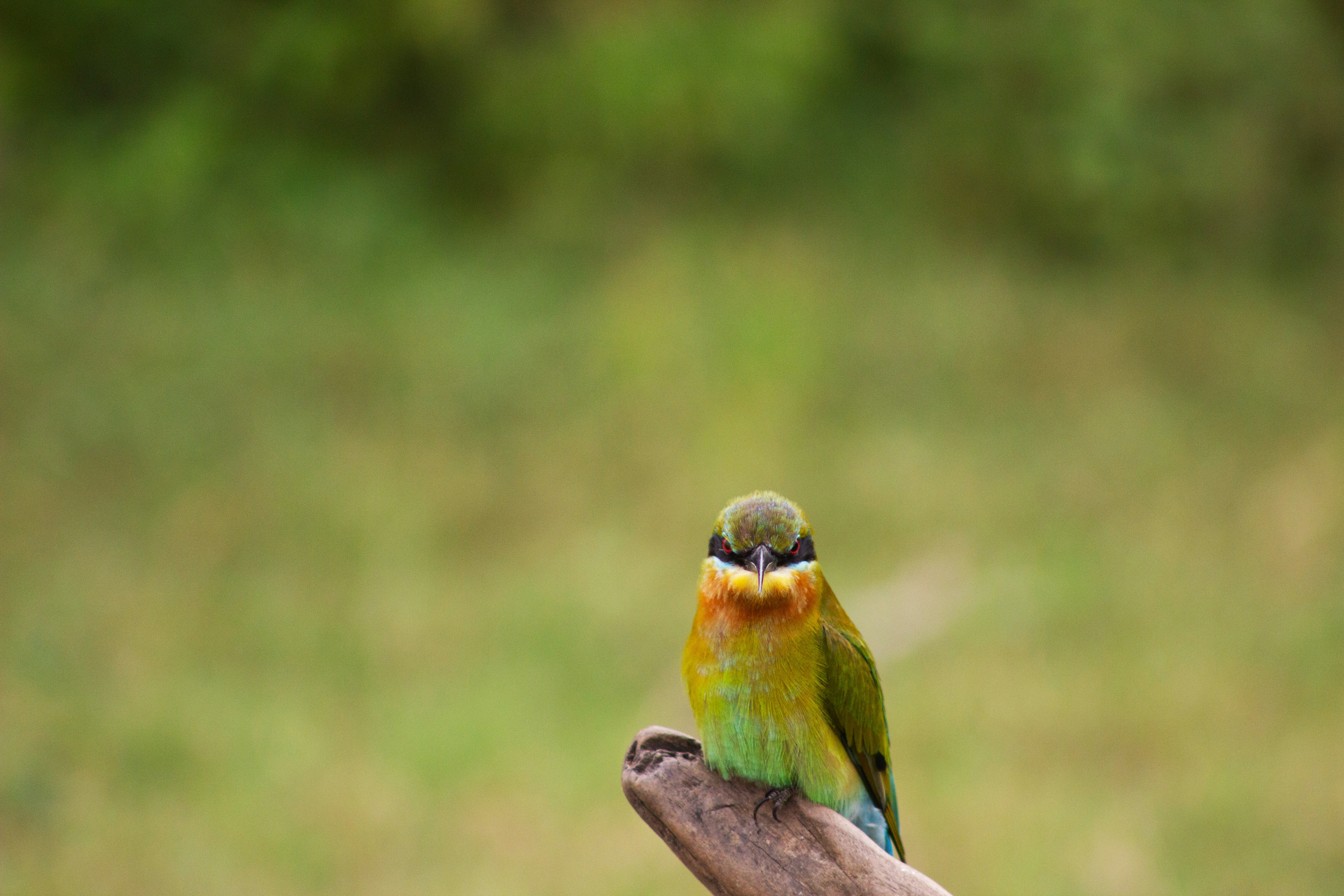 Photo by happy_sad_repeat