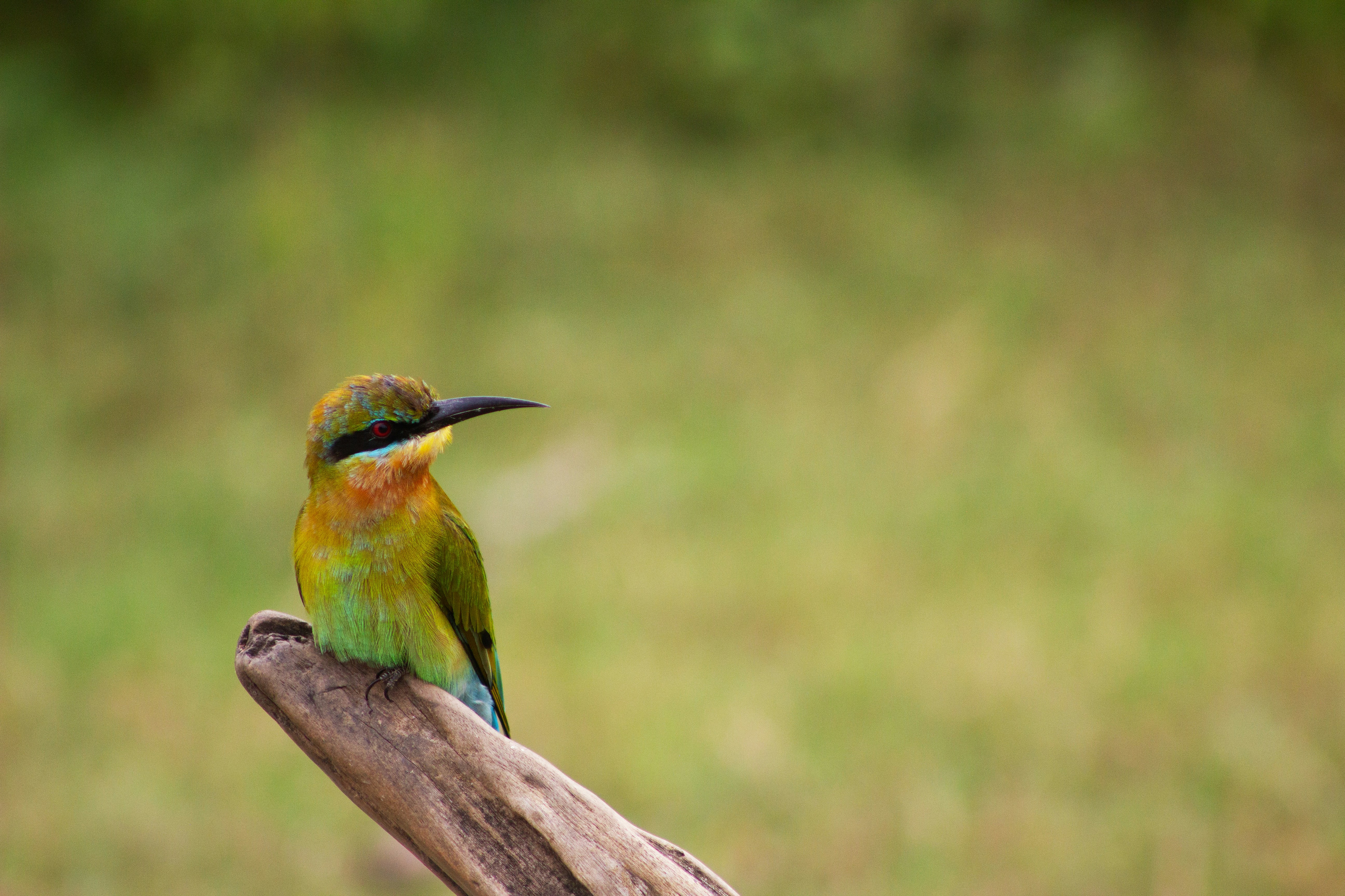 Photo by happy_sad_repeat