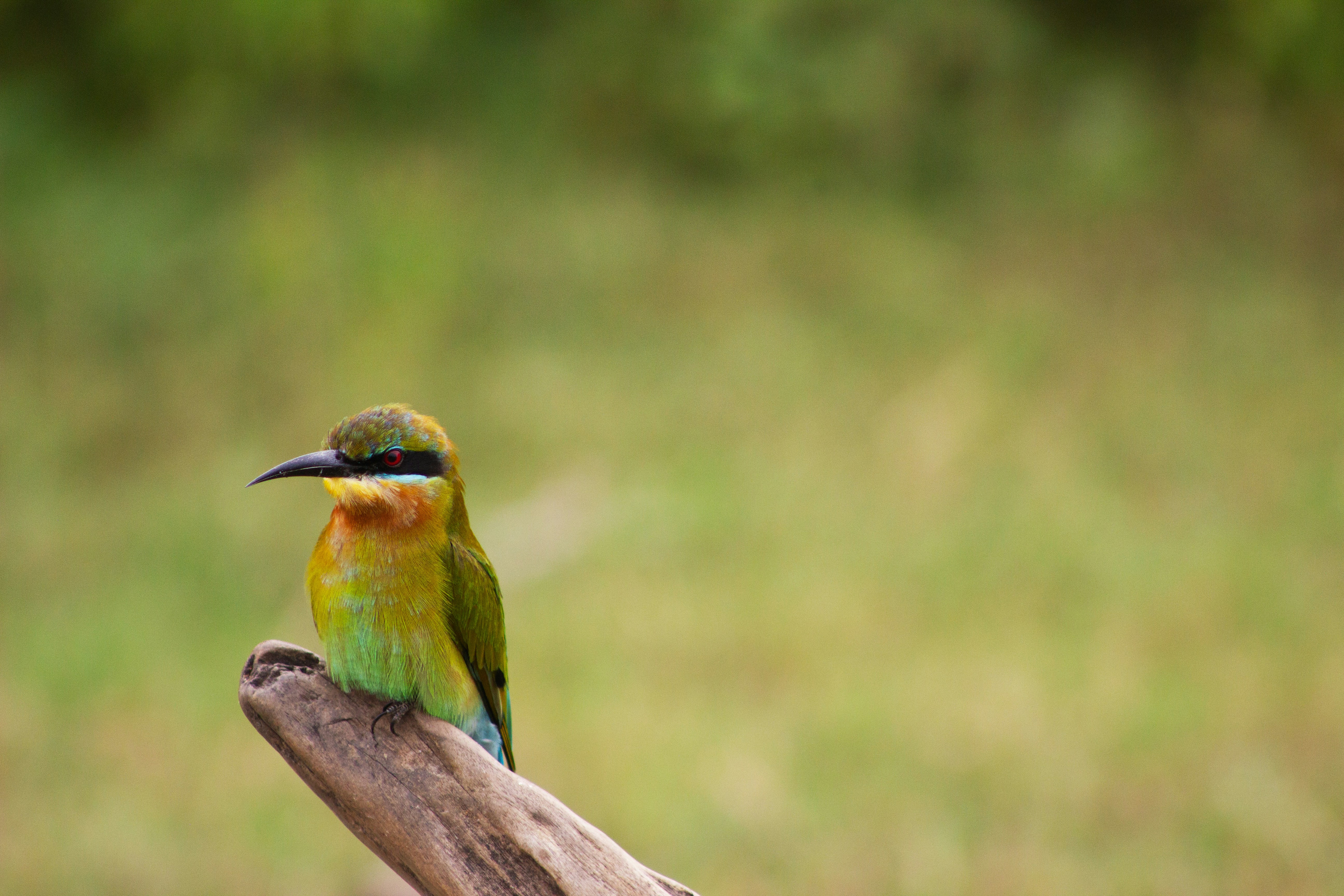 Photo by happy_sad_repeat