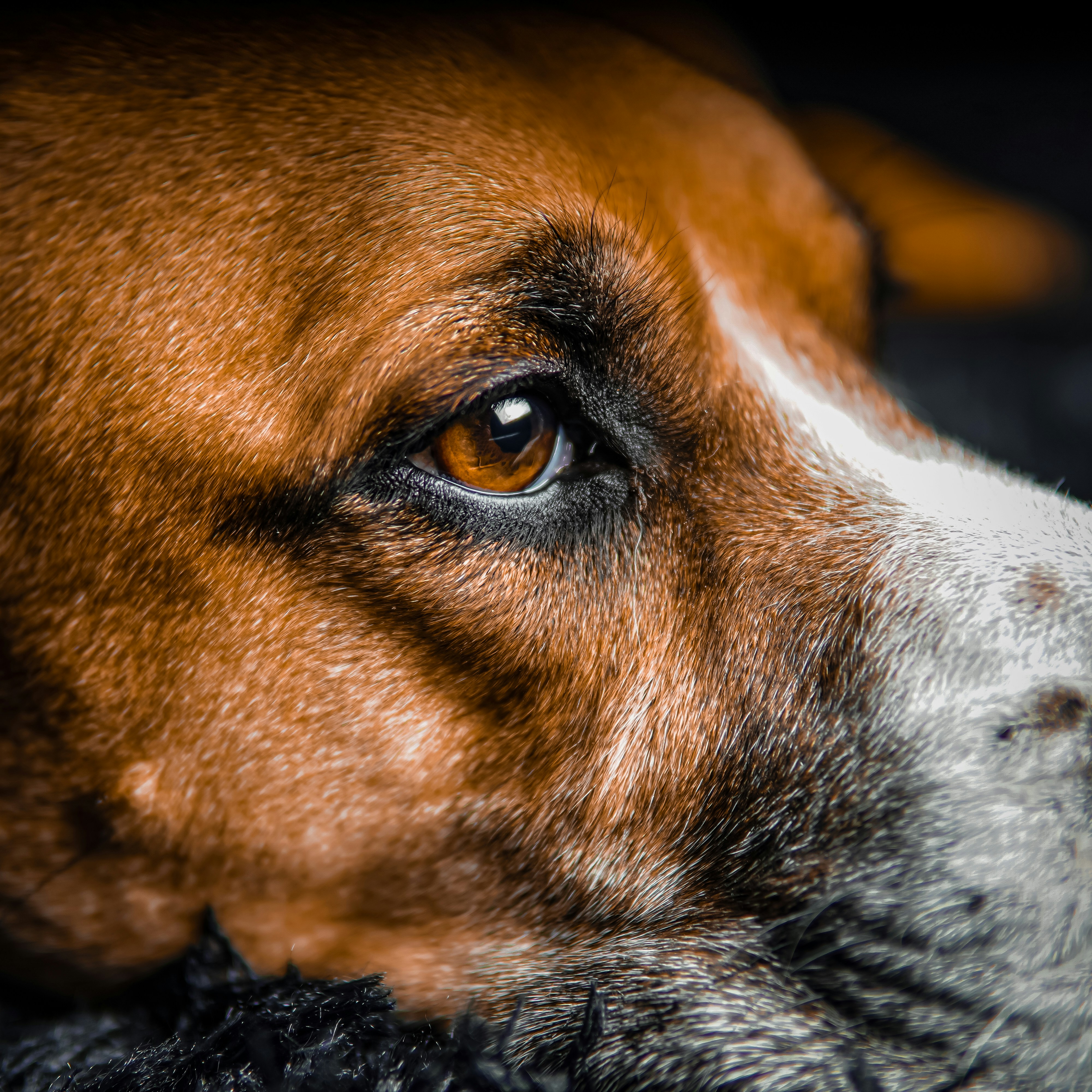 Photo by whimsystick