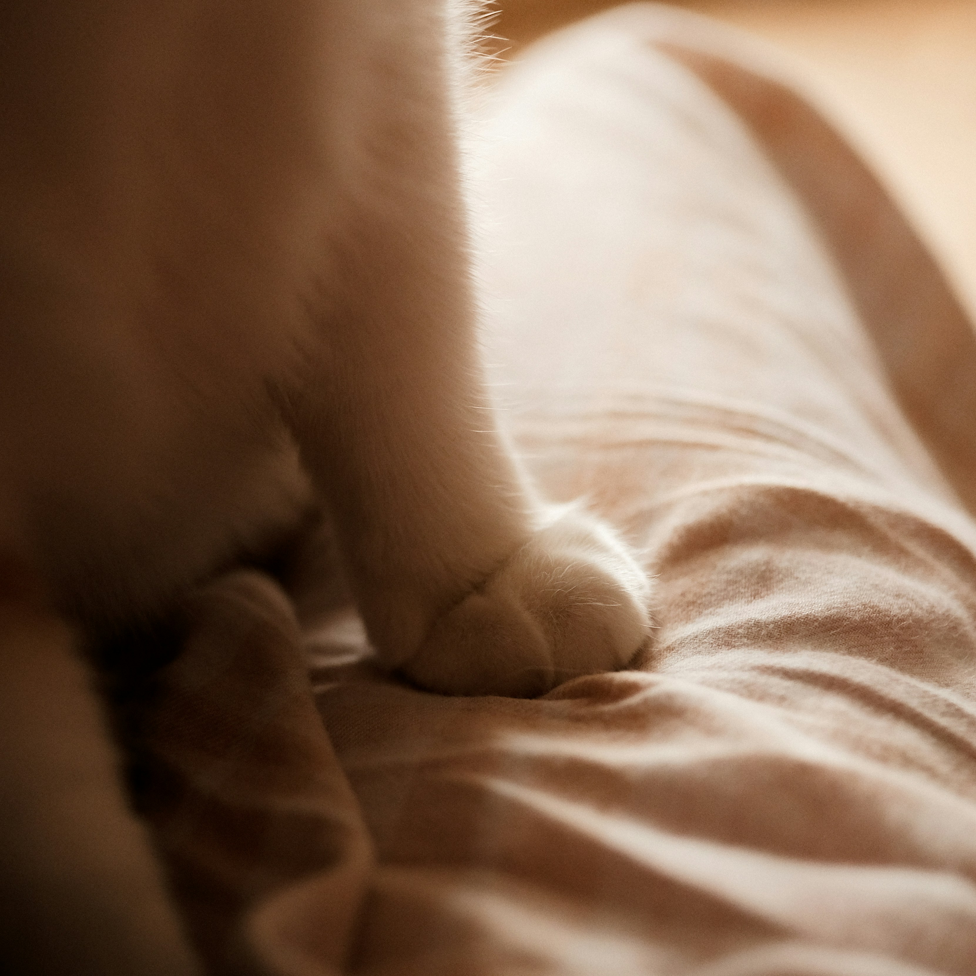 Photo by alluntsyatko