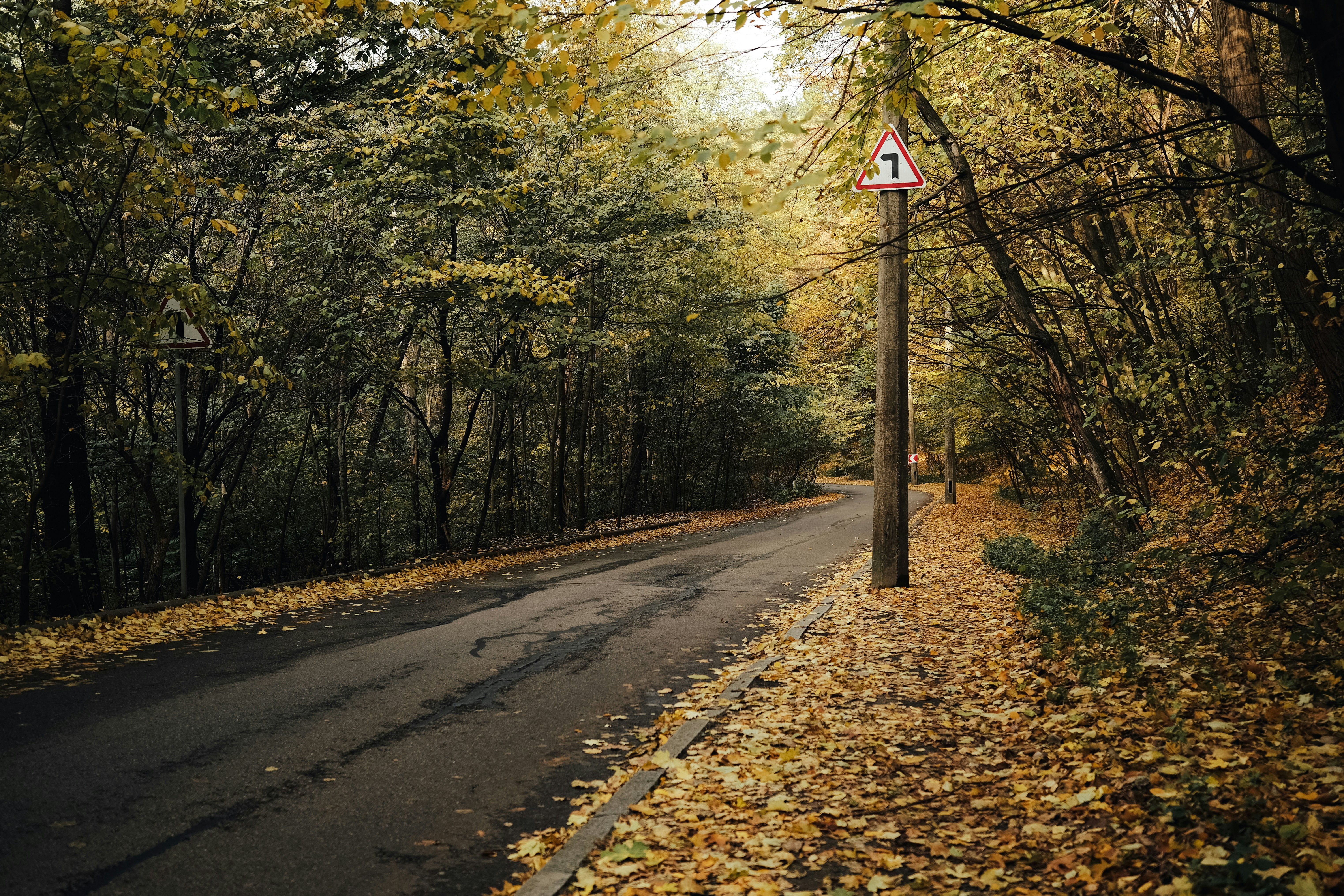 Photo by alluntsyatko