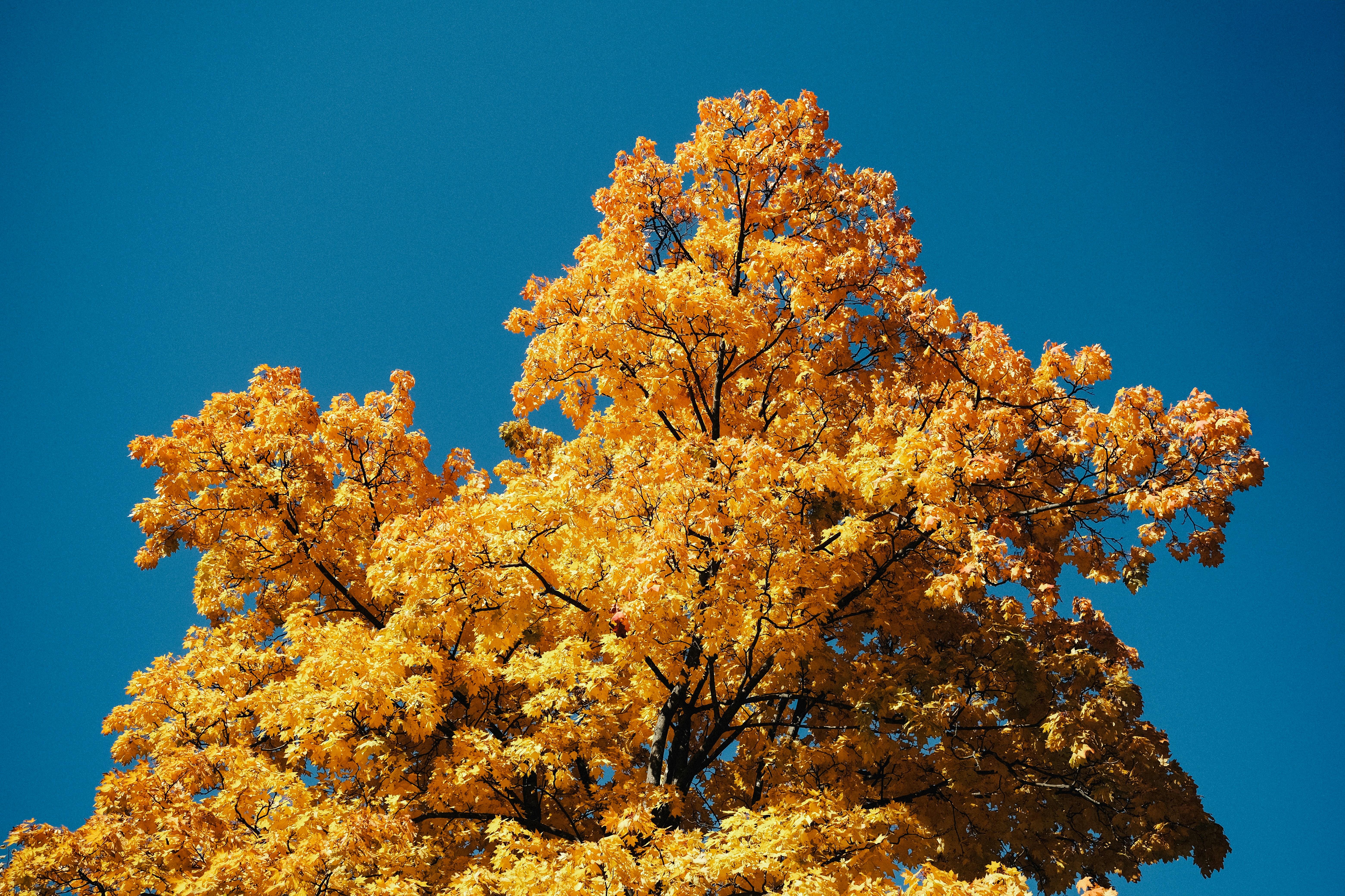 Photo by alluntsyatko