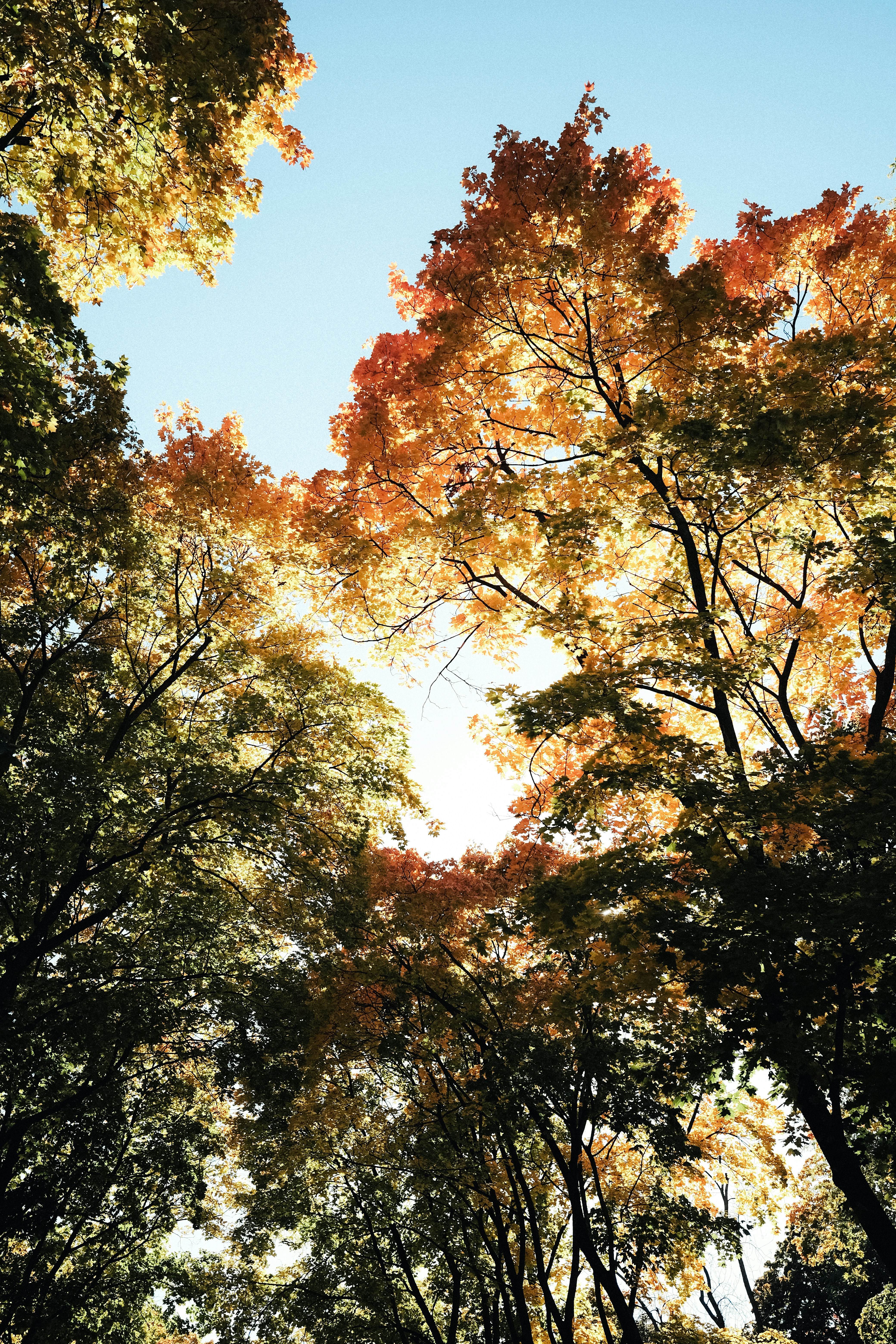 Photo by alluntsyatko