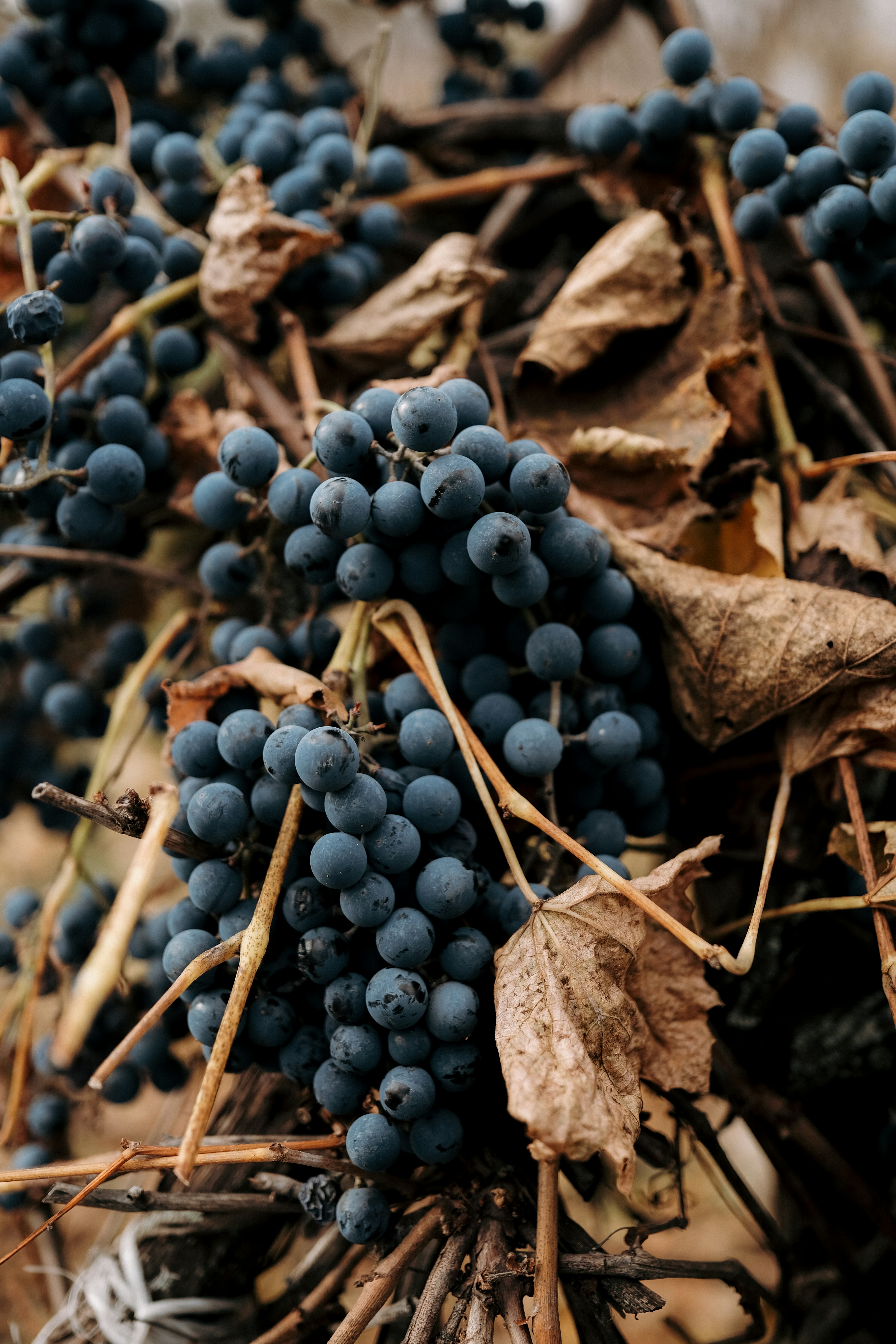 Photo by alluntsyatko