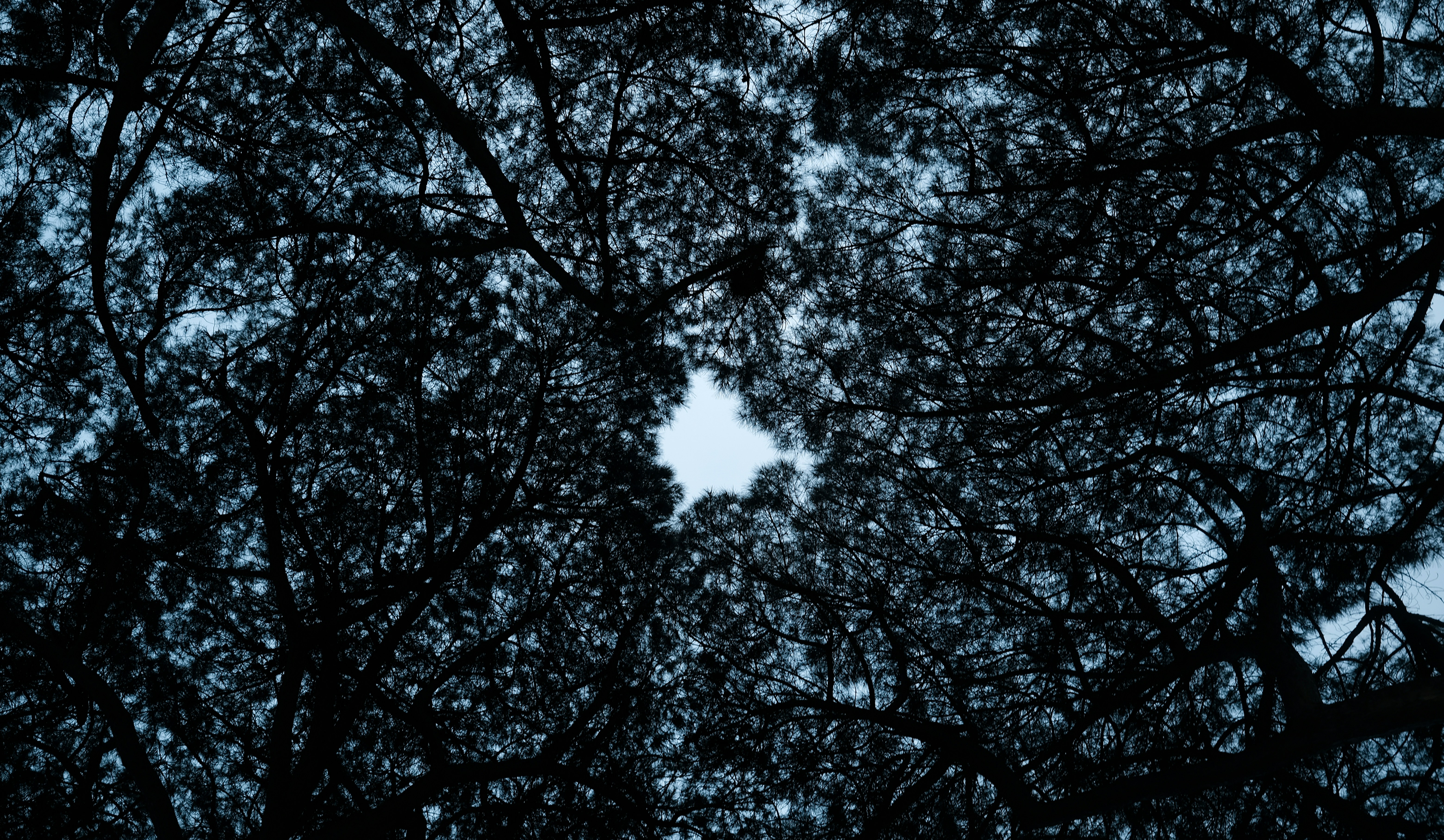 Photo by alluntsyatko