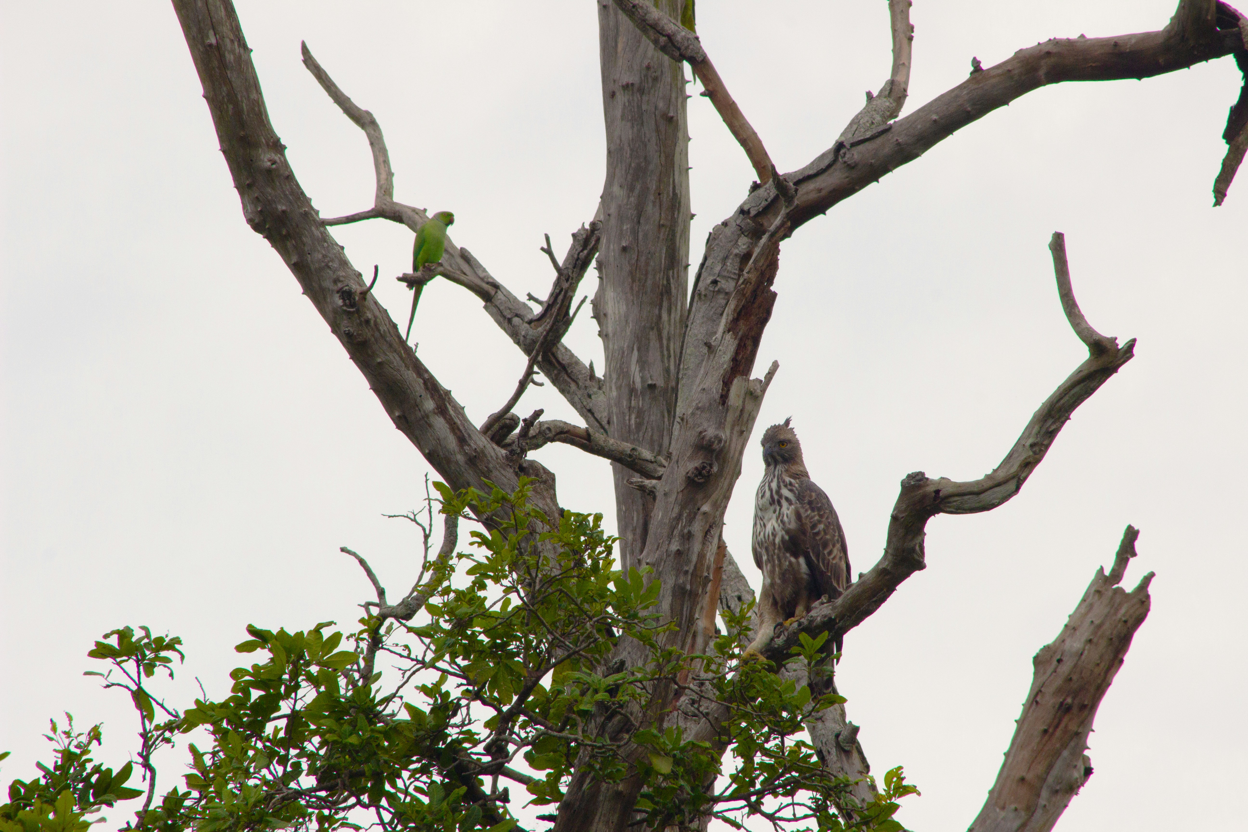 Photo by happy_sad_repeat