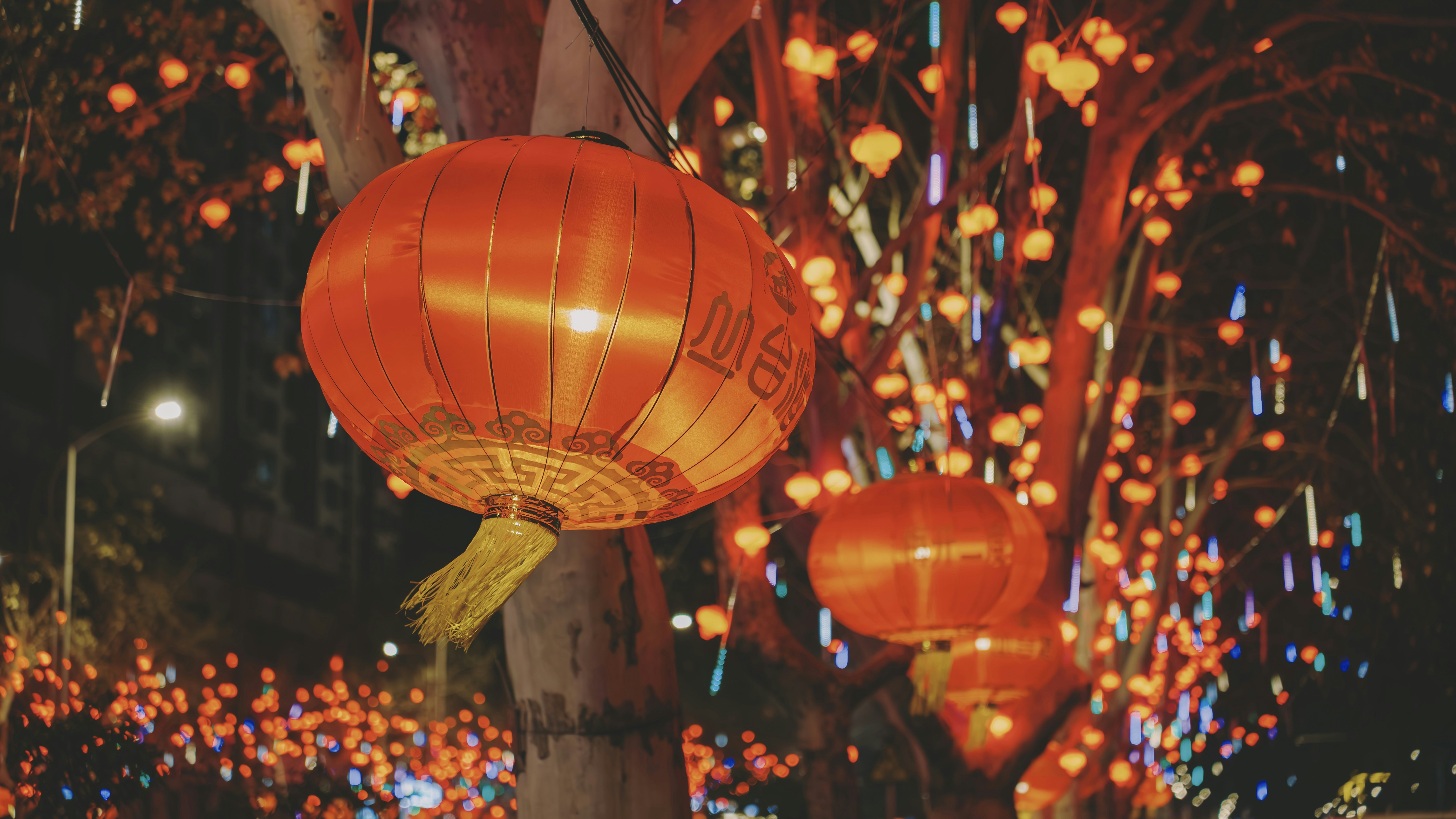 Photo by wangbinghua