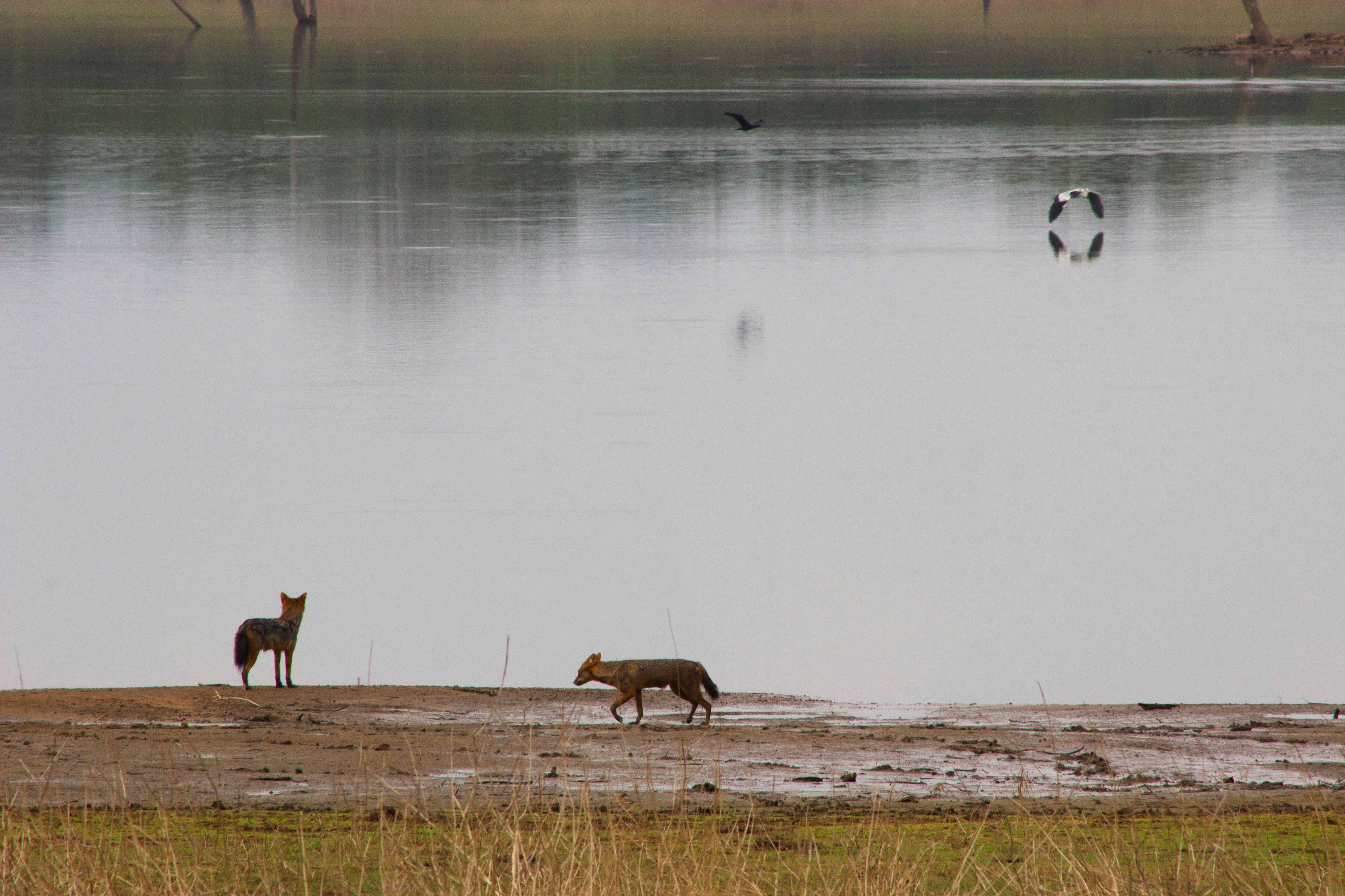 Photo by happy_sad_repeat