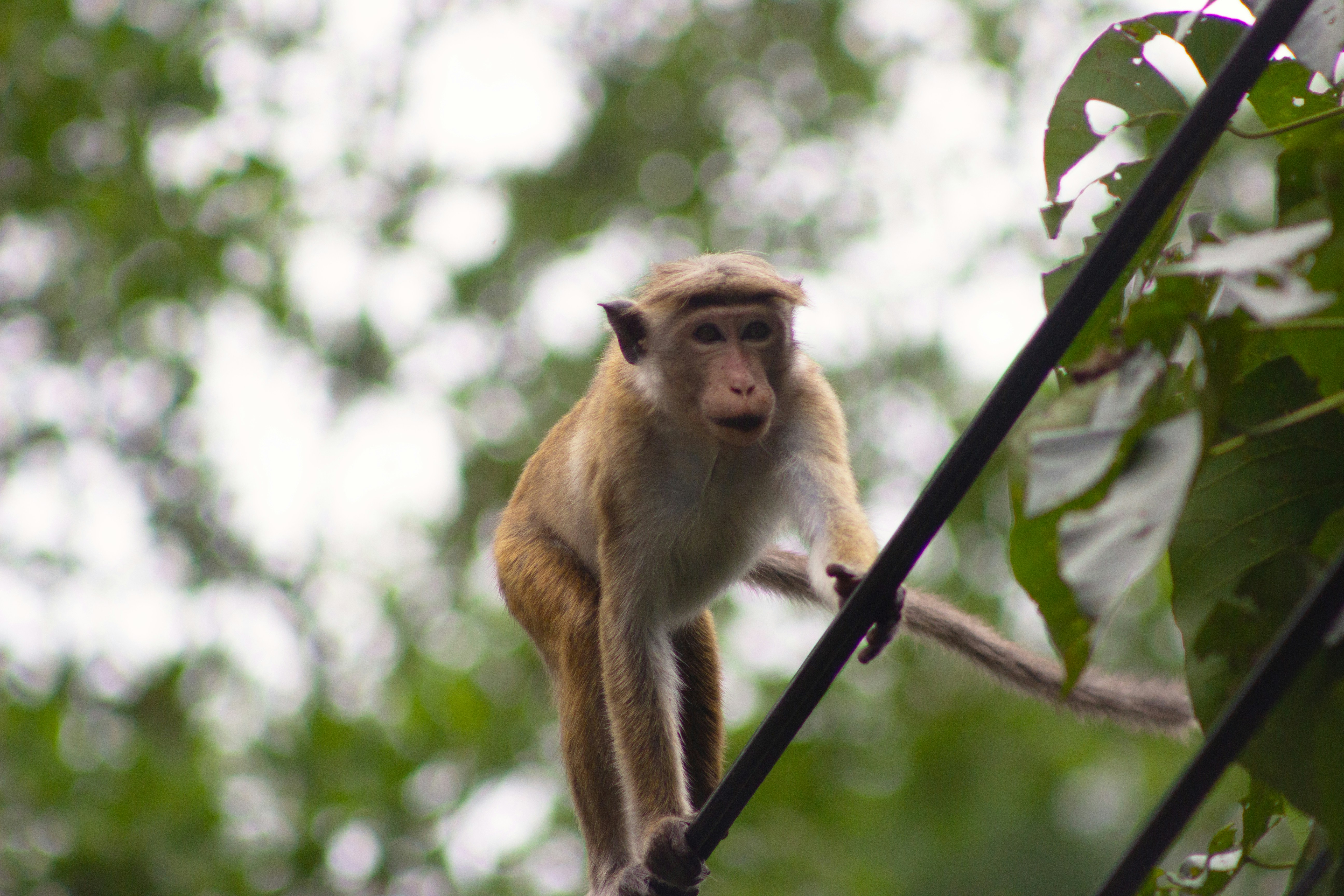 Photo by happy_sad_repeat